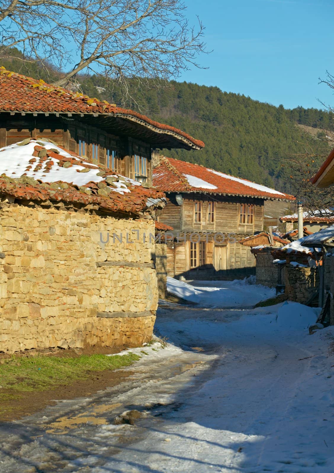 Winter in Jeravna village