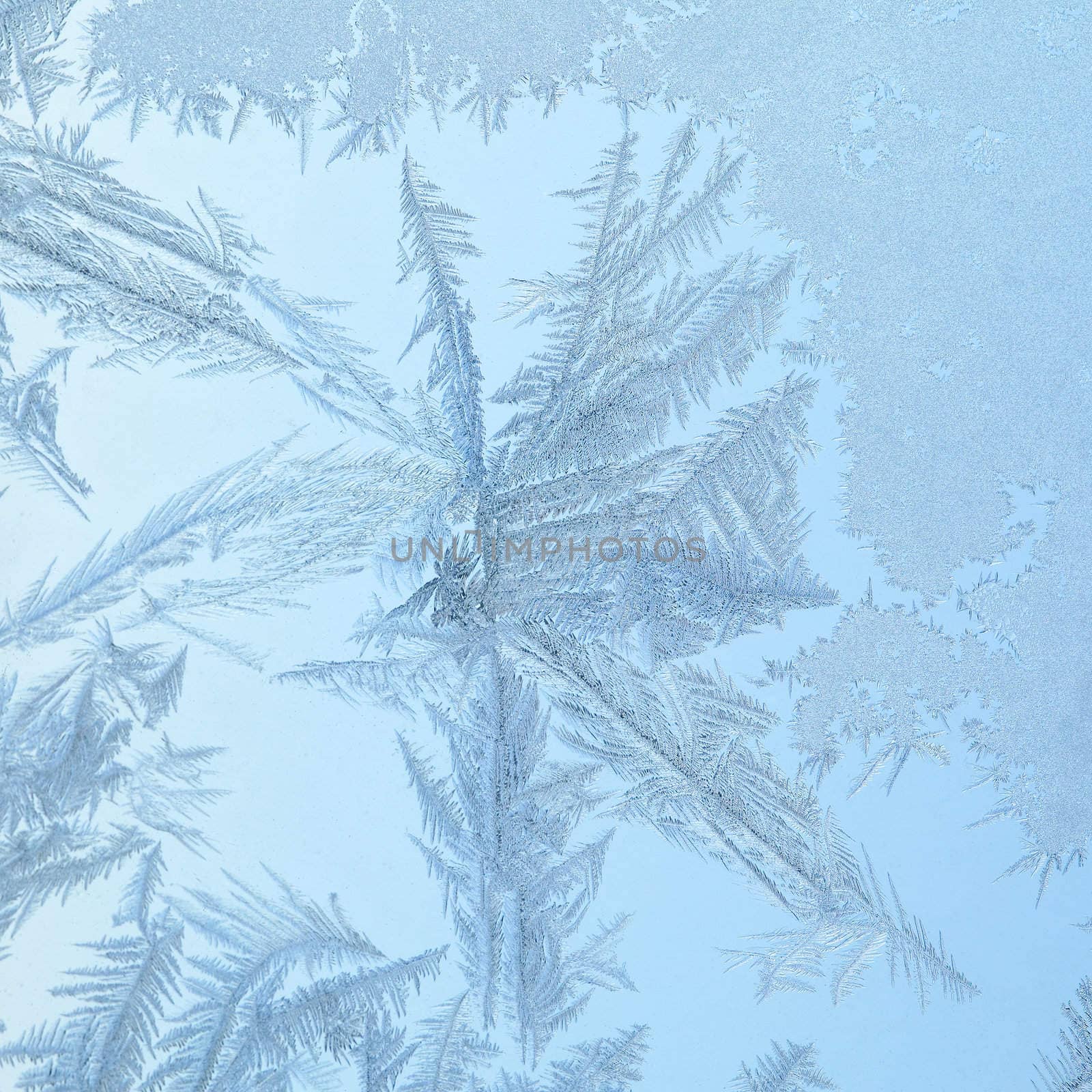 Frozen window with glass pattern by ecobo