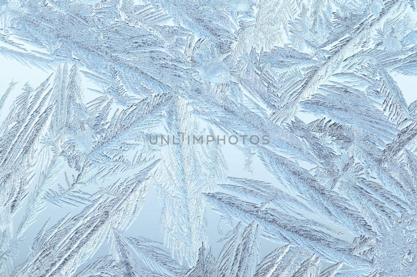 Beautiful patterns on a frozen glass of a window