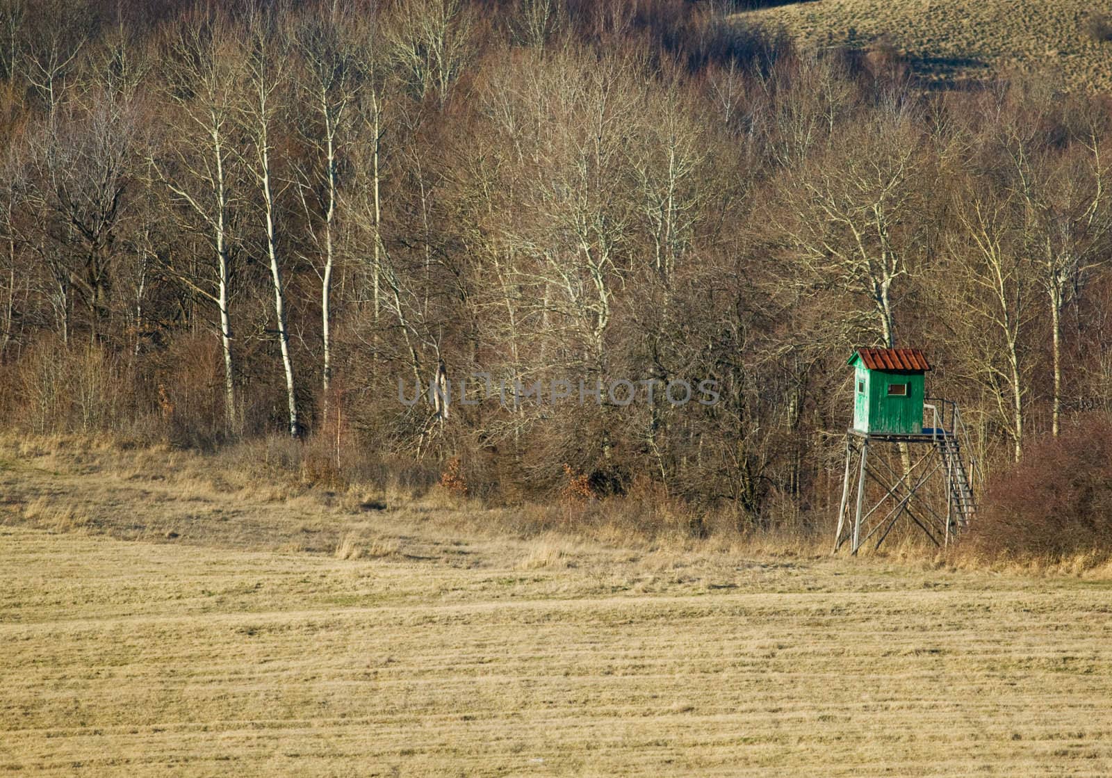 An old hunting lodge, at the edge of the forest