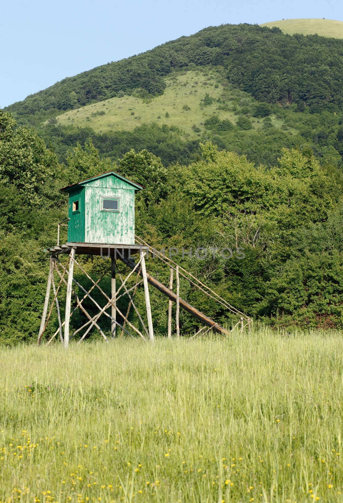 Shooting lodge in the mountains at late afternoon