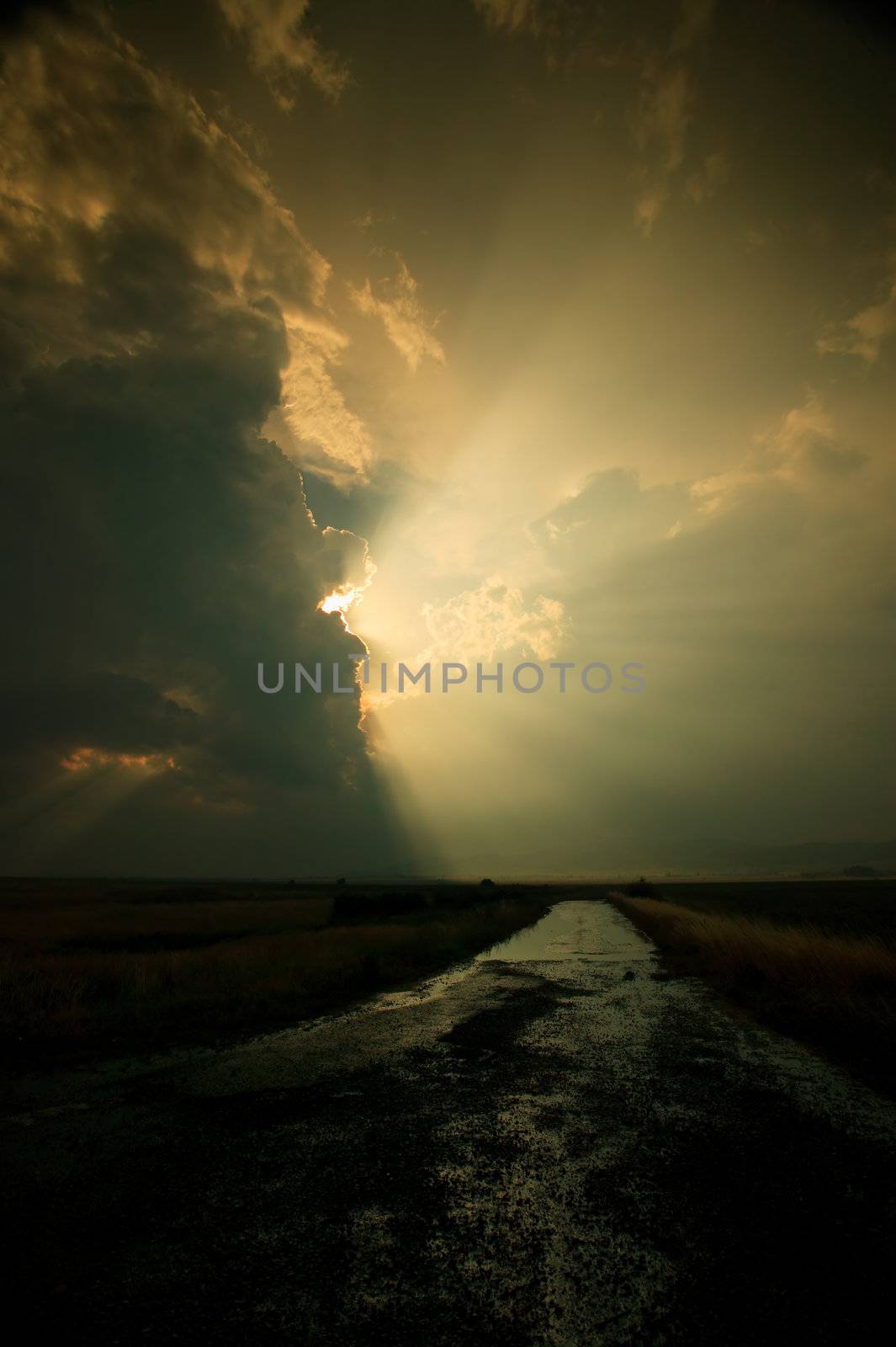 Wet road, leading to the Sunset