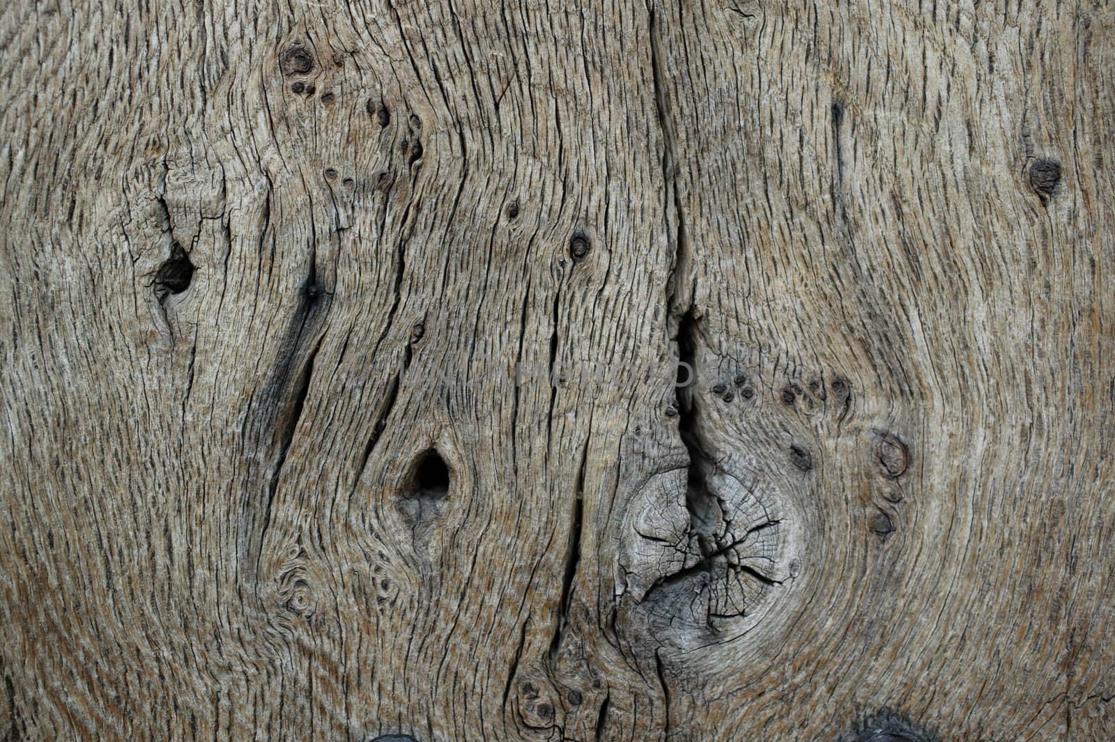 Old wood background by ecobo