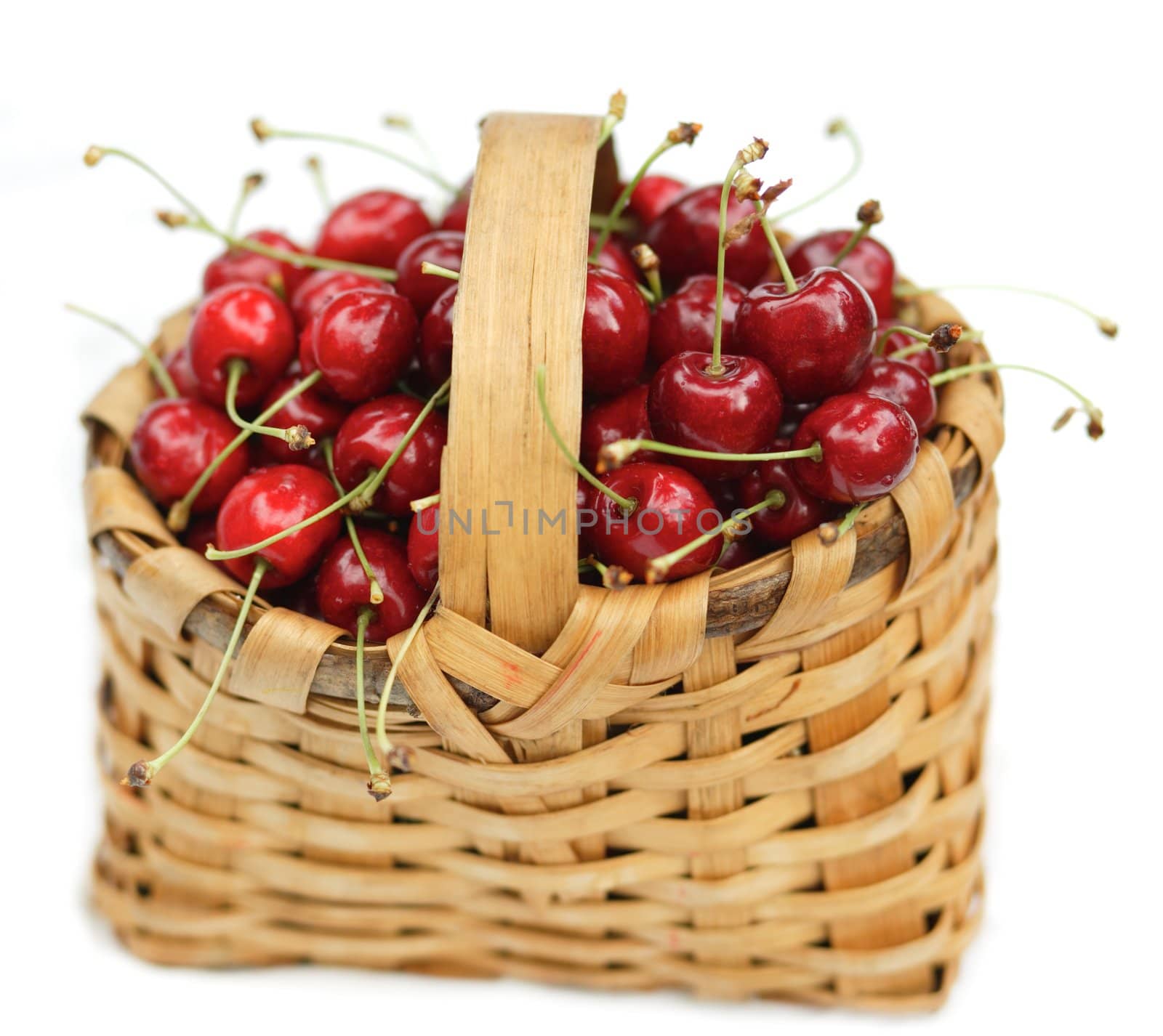 Hand basket full with cherries, isolated