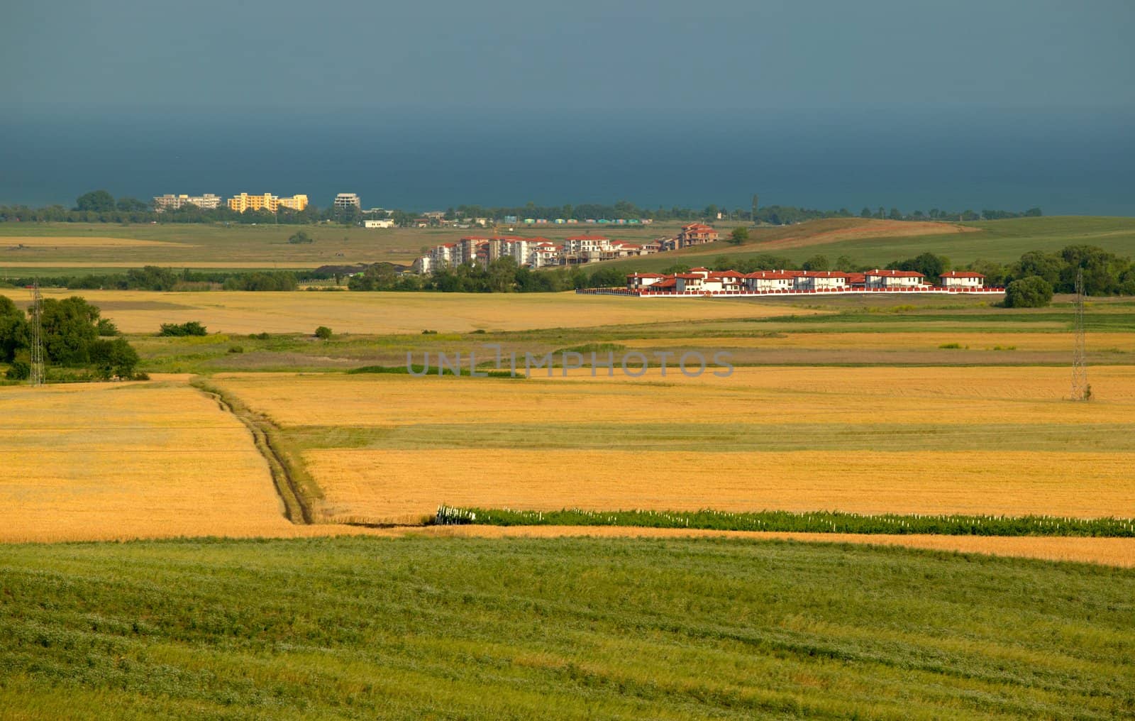 Corn fields near Pomorie by ecobo