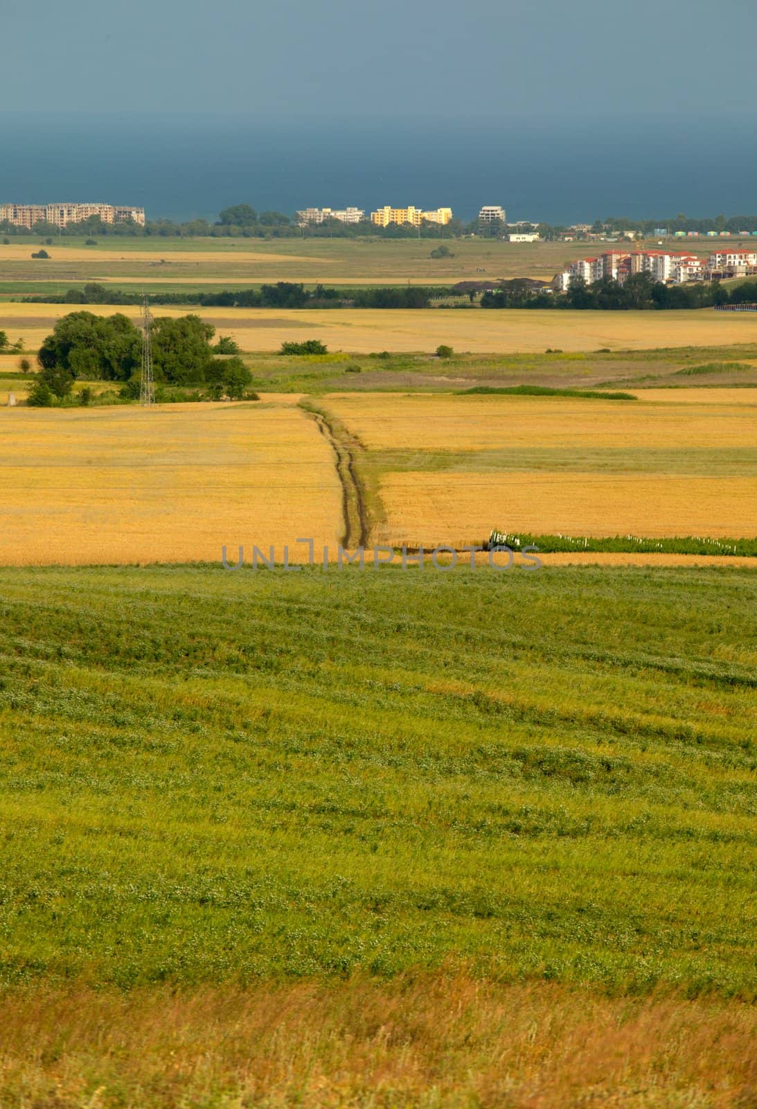 Scene with corn fields near Pomorie by ecobo