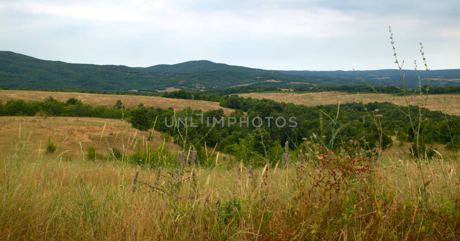 Landscape from Strandja mountain, Bulgaria