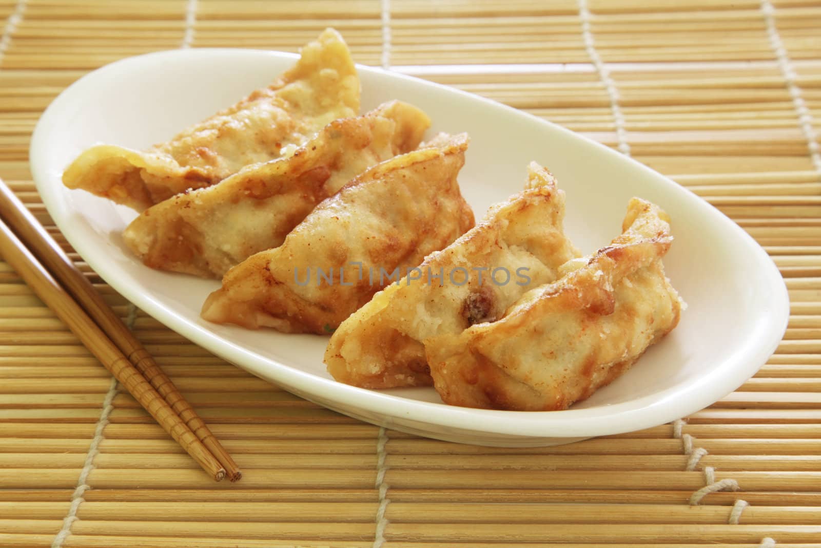 Fried Dumplings Chinese Style Cuisine as Meal