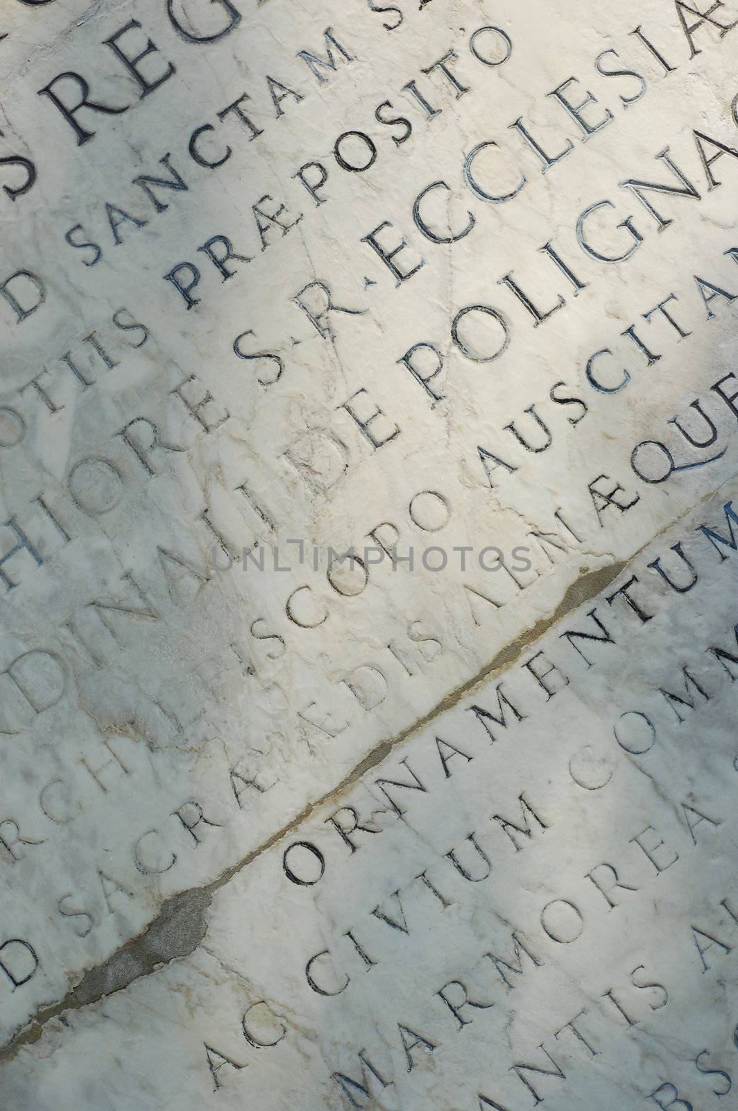 latin phrase on white marble background