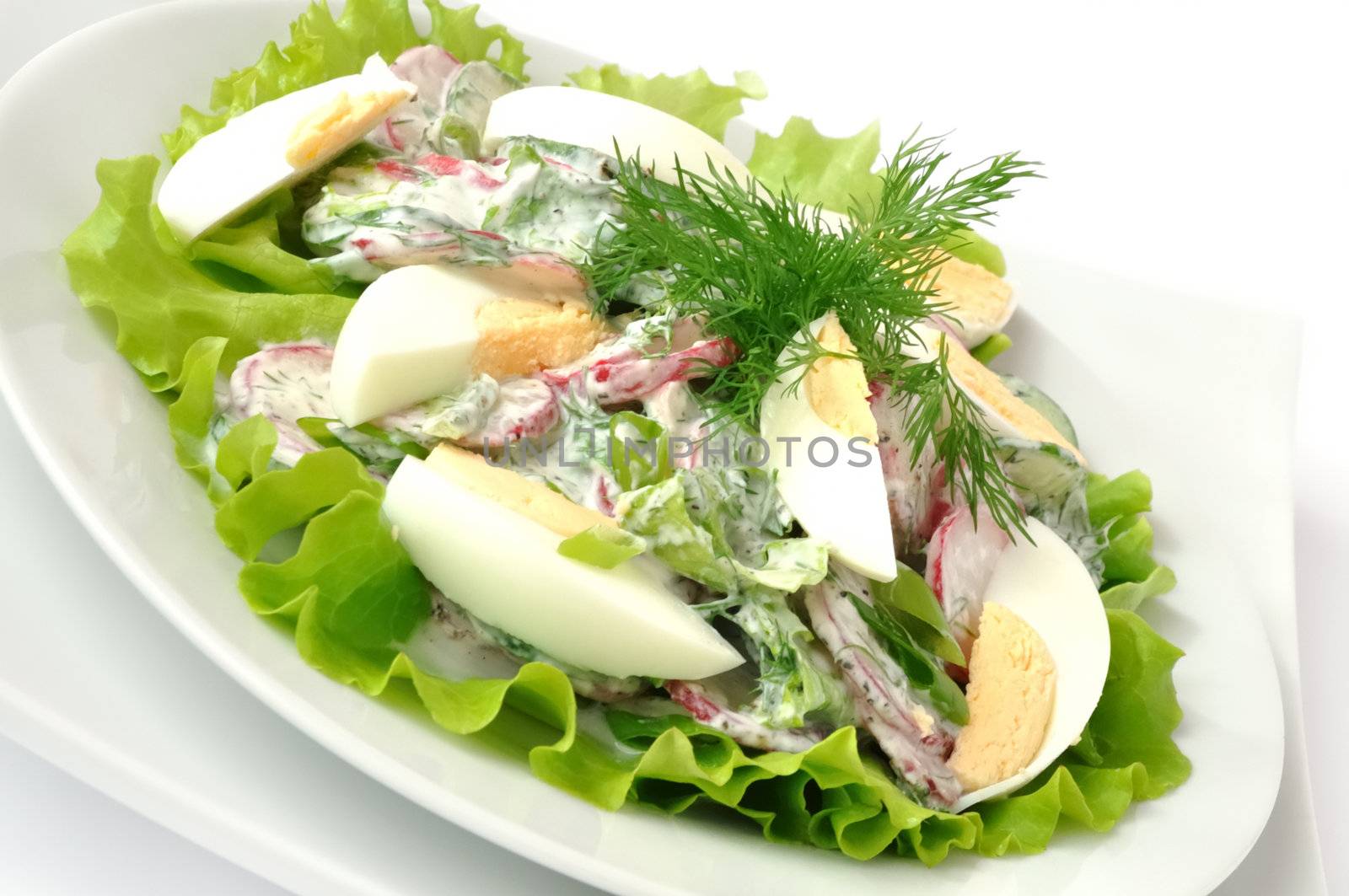 Salad radishes and cucumbers in sour cream sauce with egg