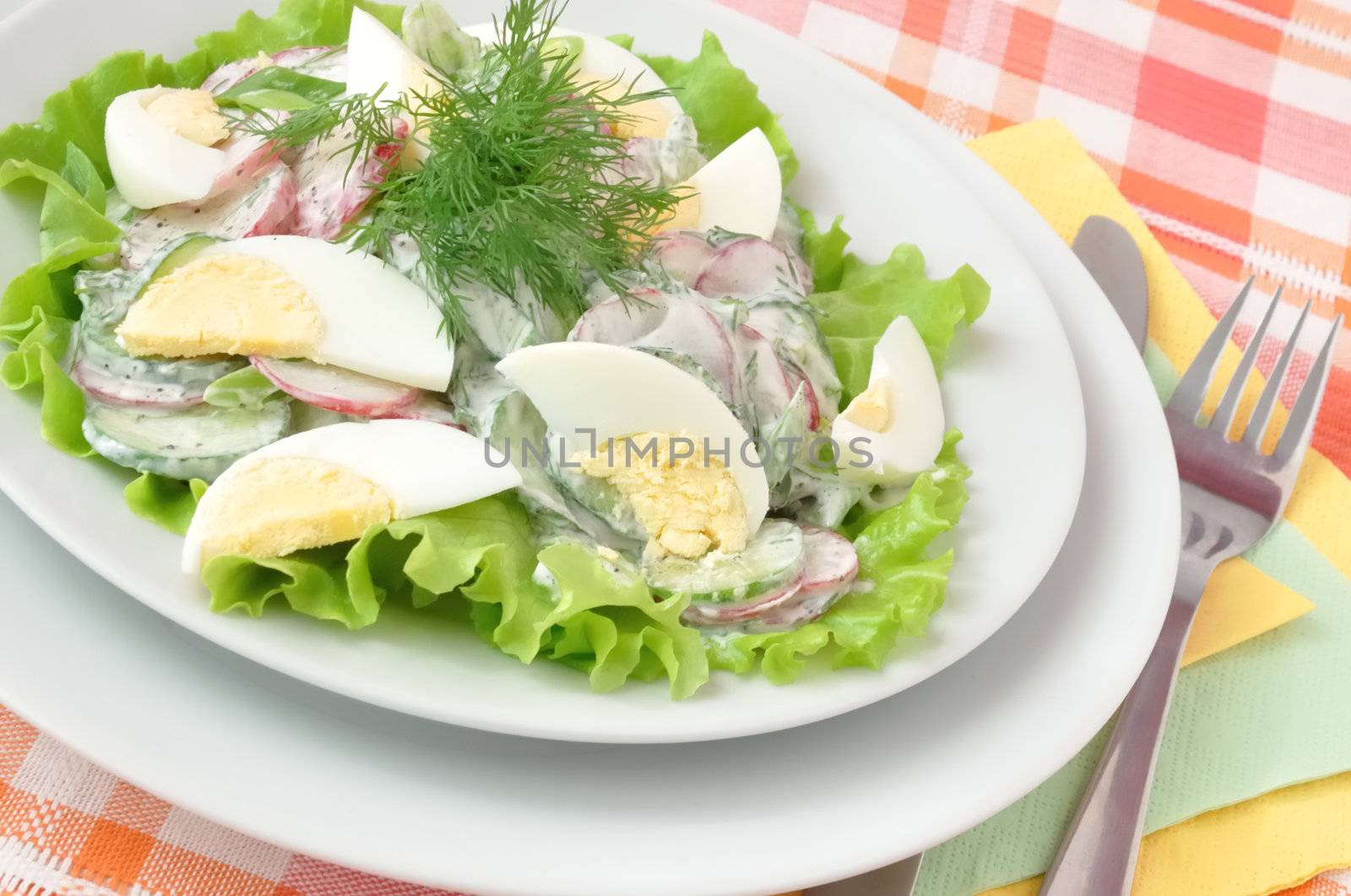 Salad radishes and cucumbers in sour cream sauce with egg