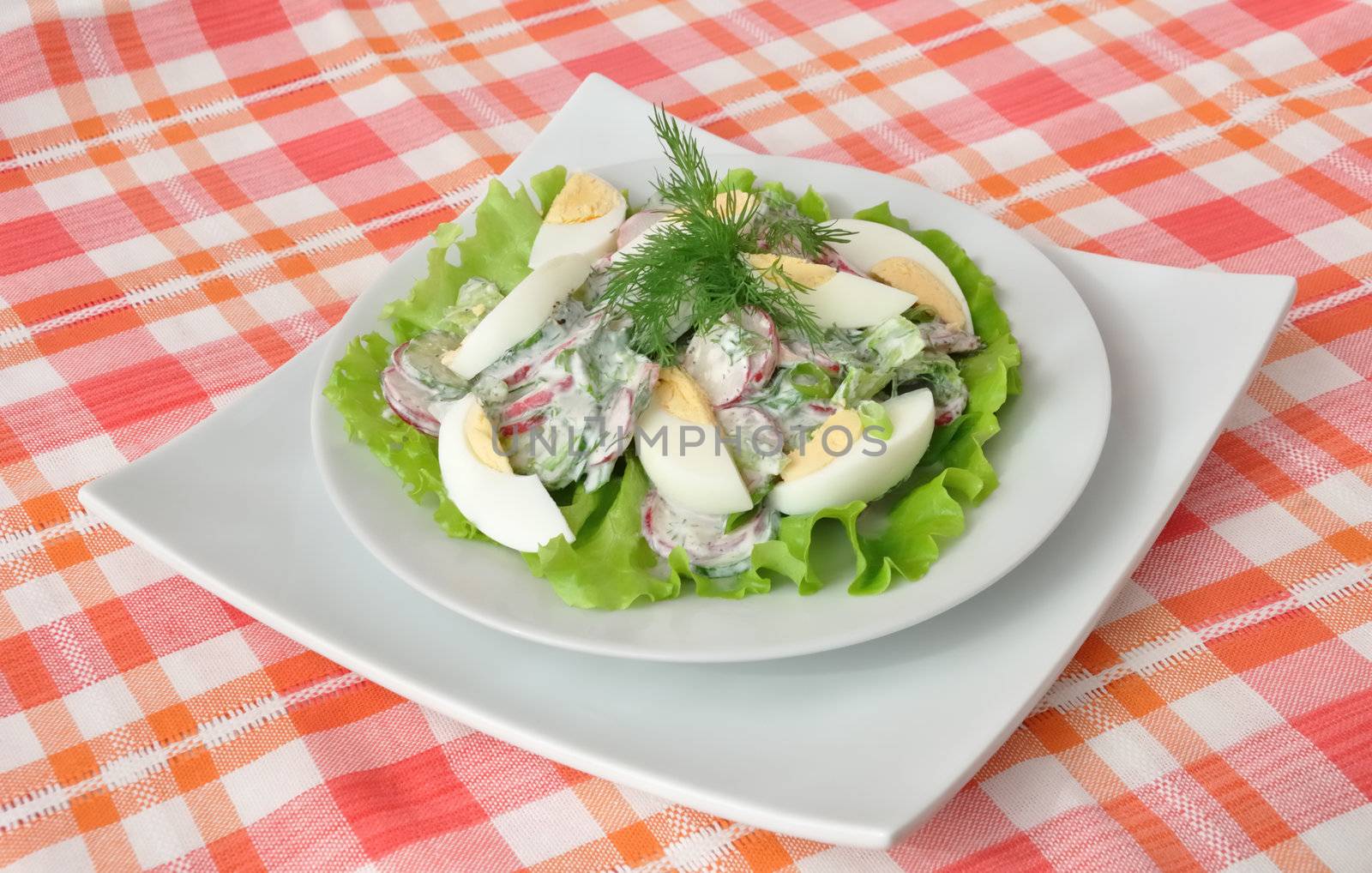 salad with egg by Apolonia