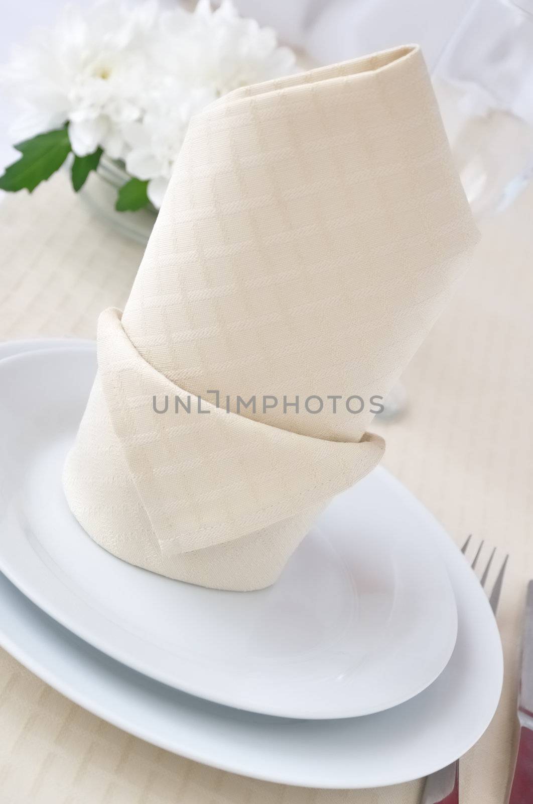 Napkin "hat with lapel" by Apolonia