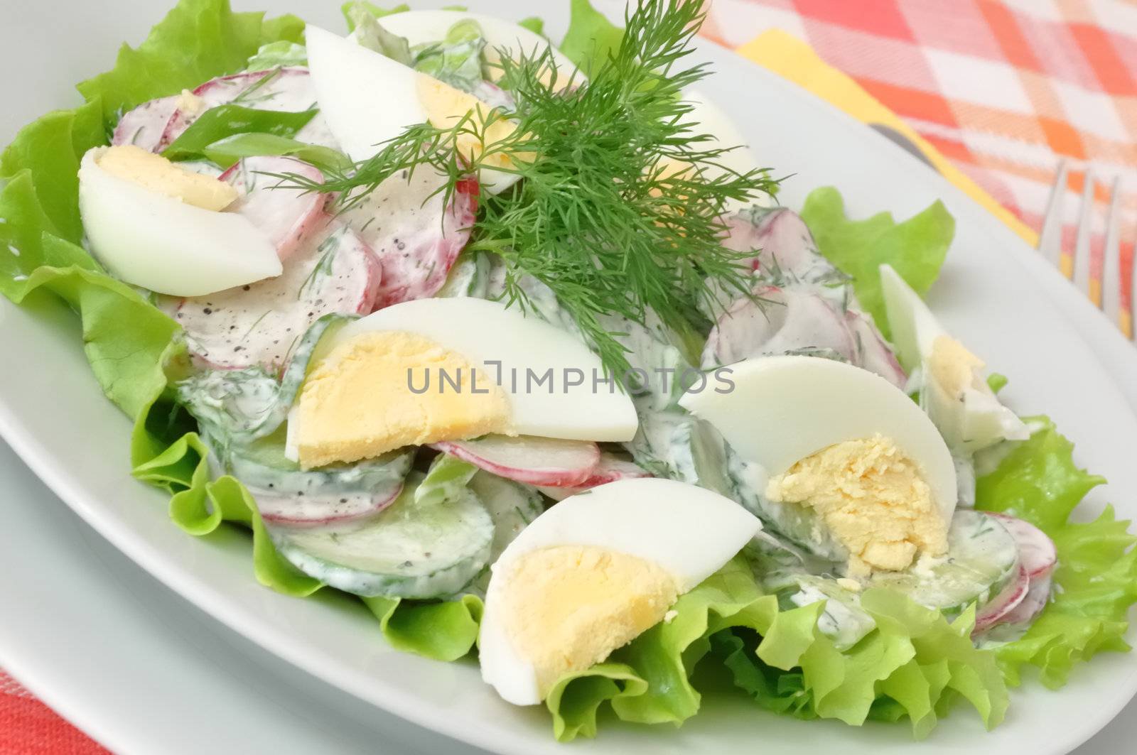 Salad radishes and cucumbers in sour cream sauce with egg