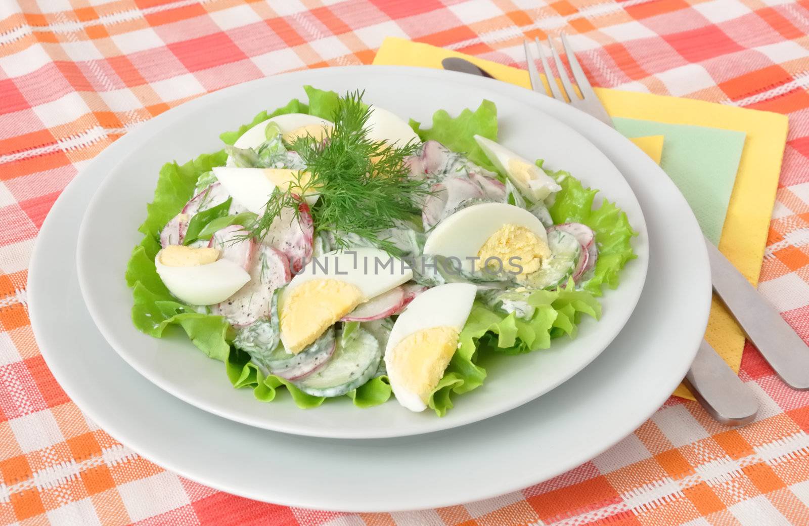 Salad radishes and cucumbers in sour cream sauce with egg