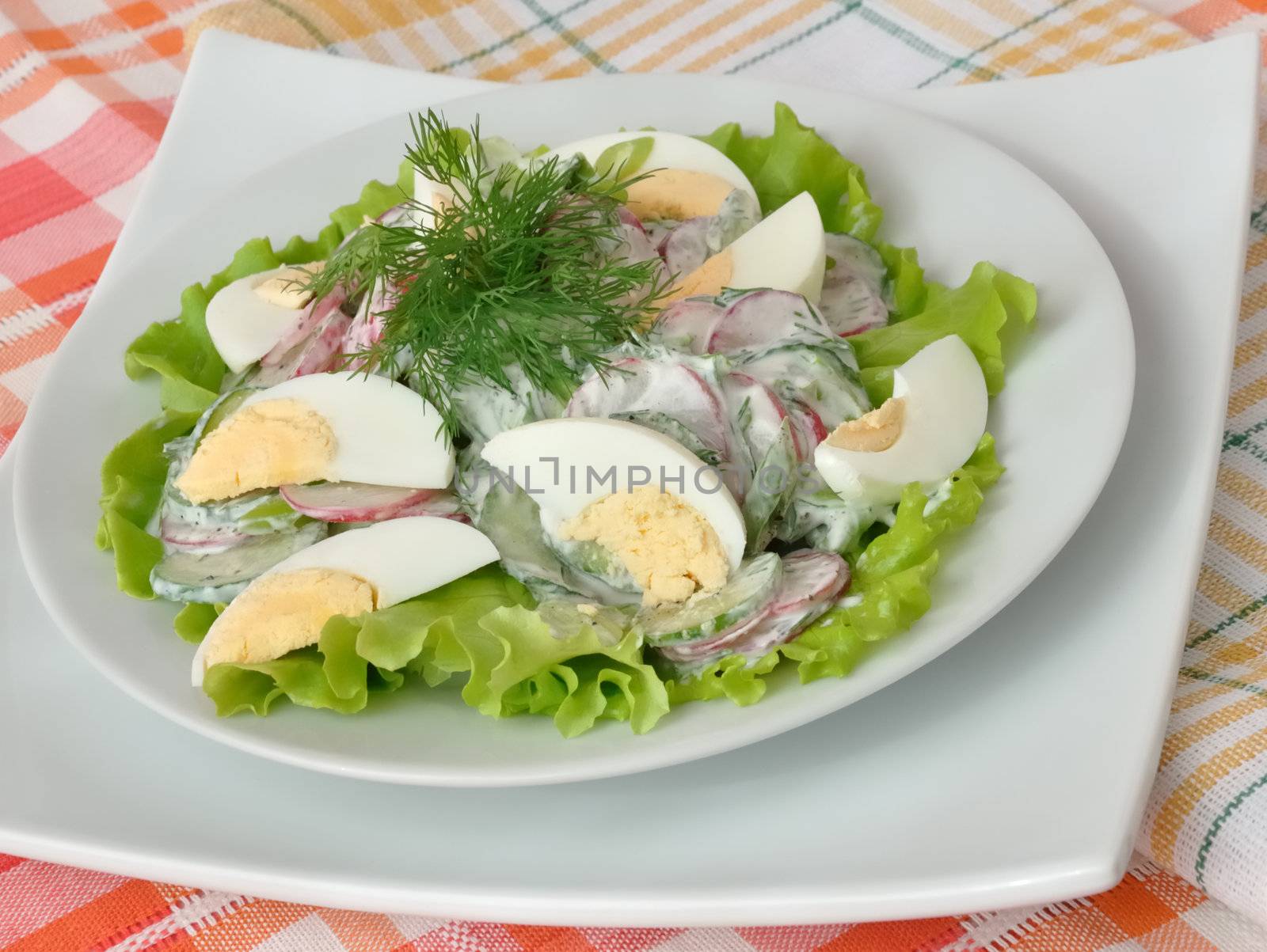 Salad radishes and cucumbers in sour cream sauce with egg