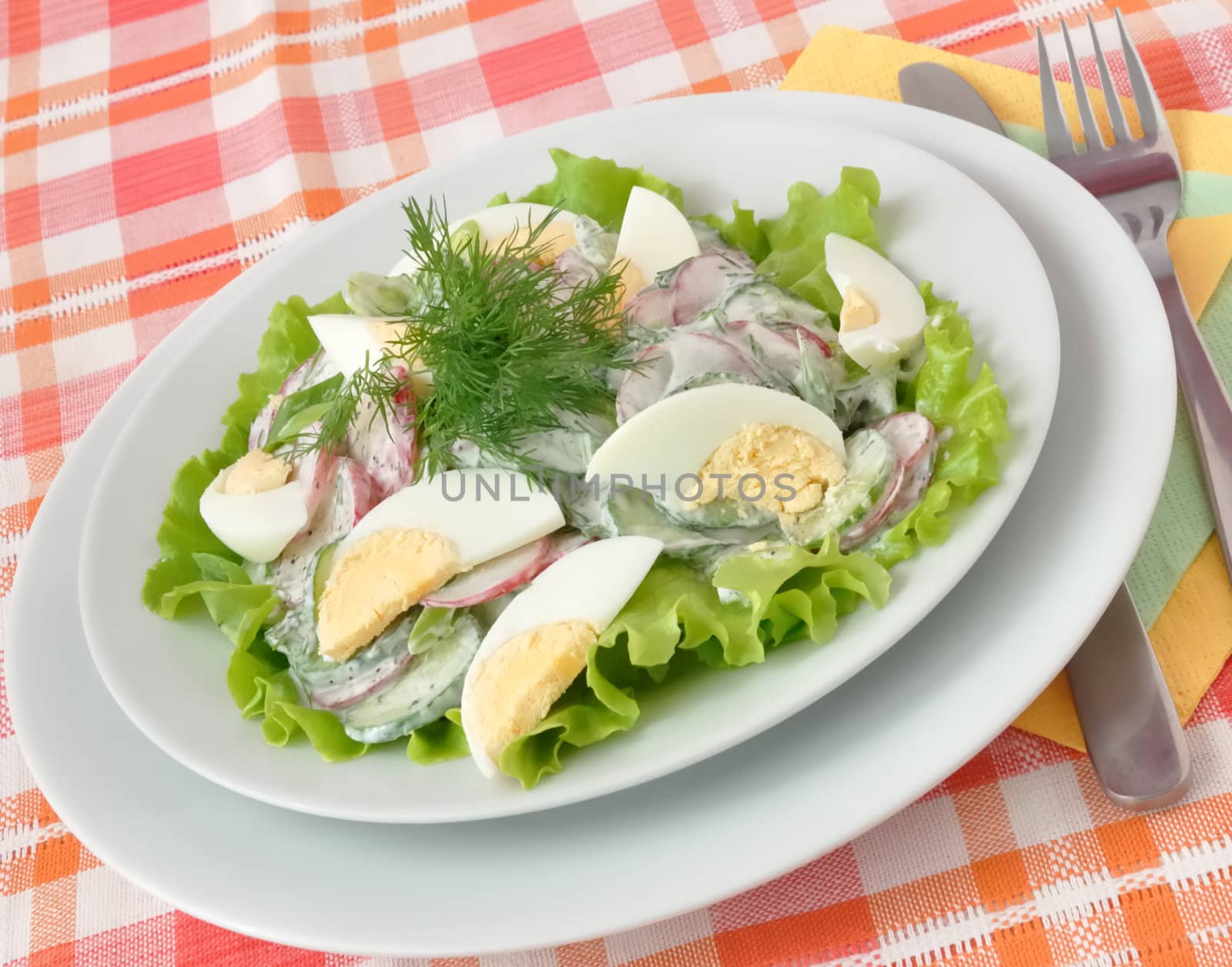 salad with egg by Apolonia