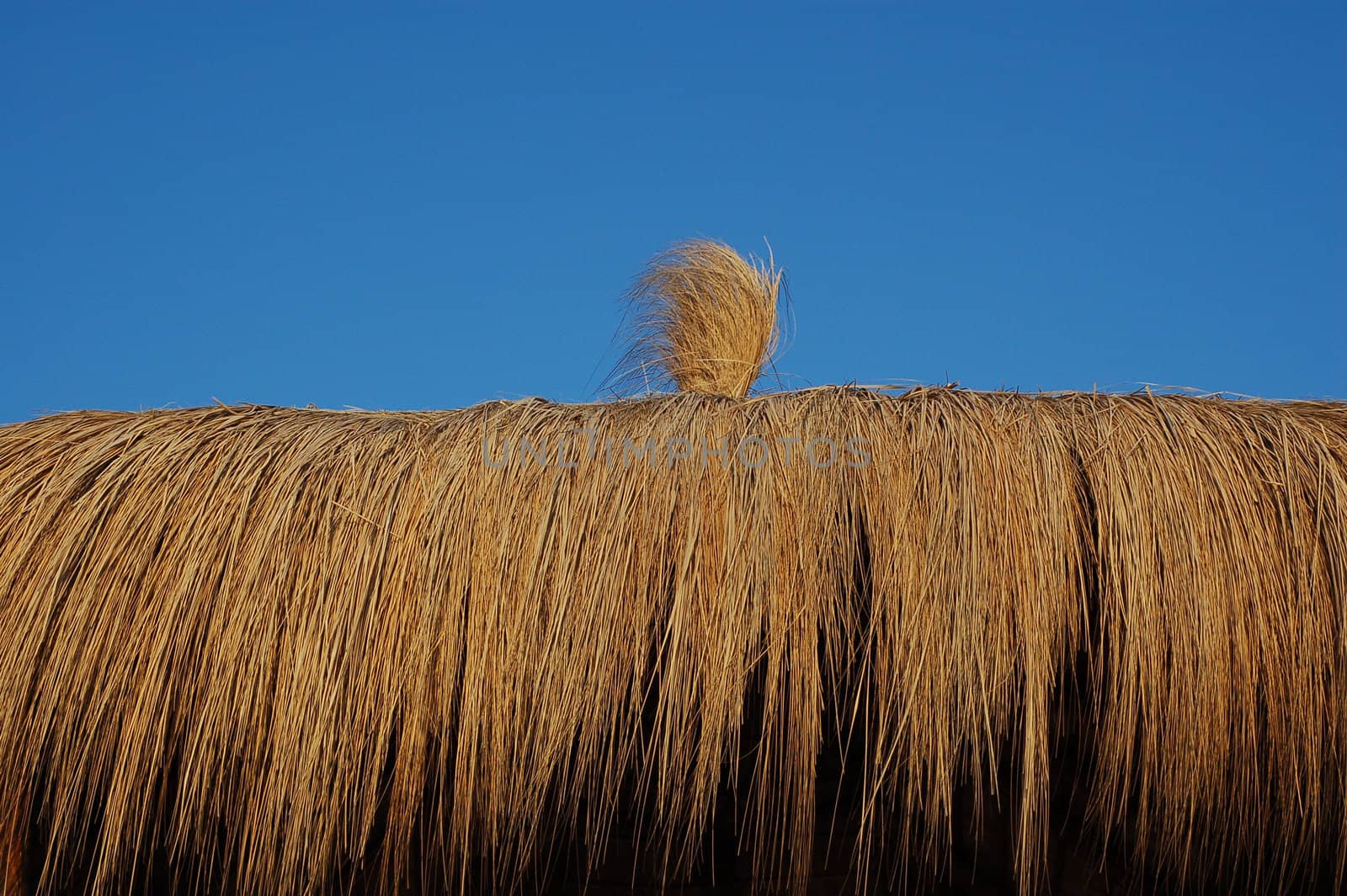 straw hut on blue sky - summer time background