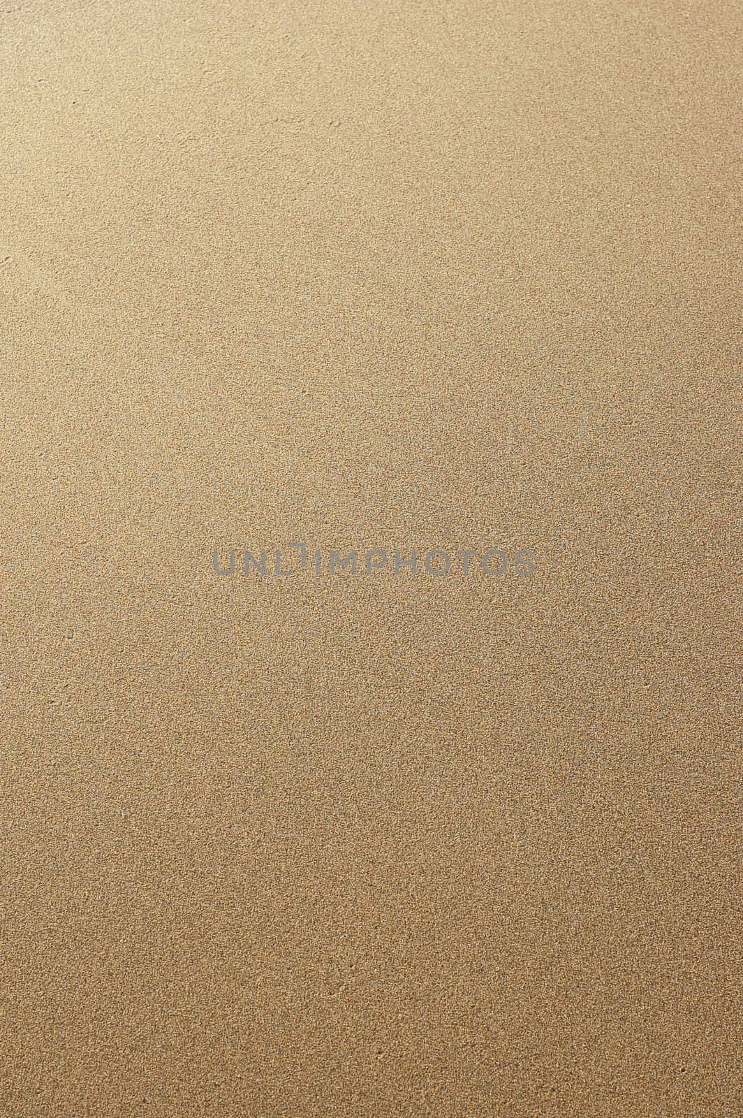 Yellow sand background - Natural texture pattern