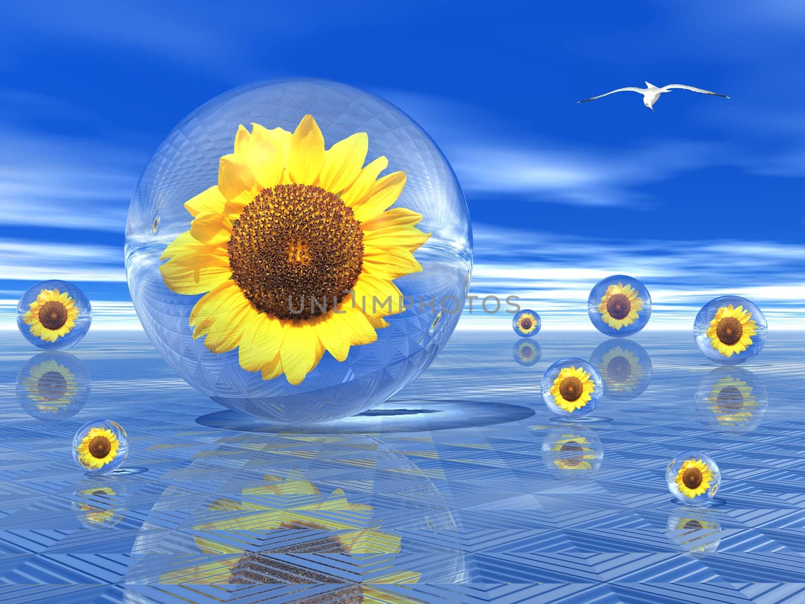 Sunflowers in transparent bubbles upon a blue modern ground and with a seagull flying in the blue sky