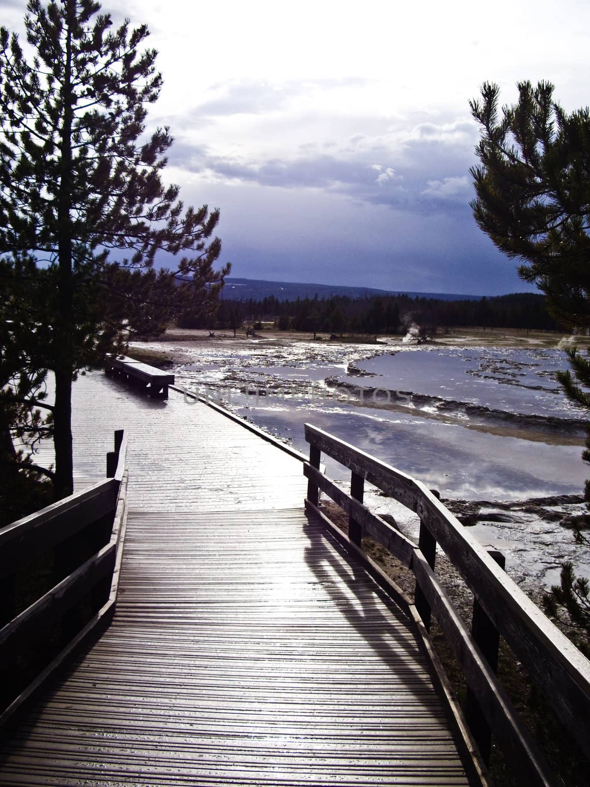 Moonlight creates lonely mood on the geyser boardwalk Yellowstone Park USA