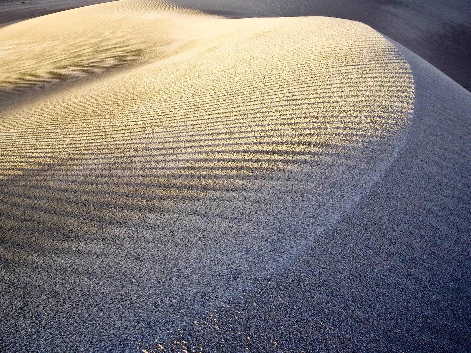 Curves in the sand highlighted by late sun
