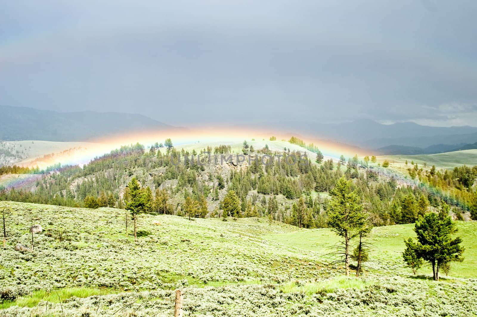 Rainbow hugs the contours of a hillside after storm Yellowstone Park