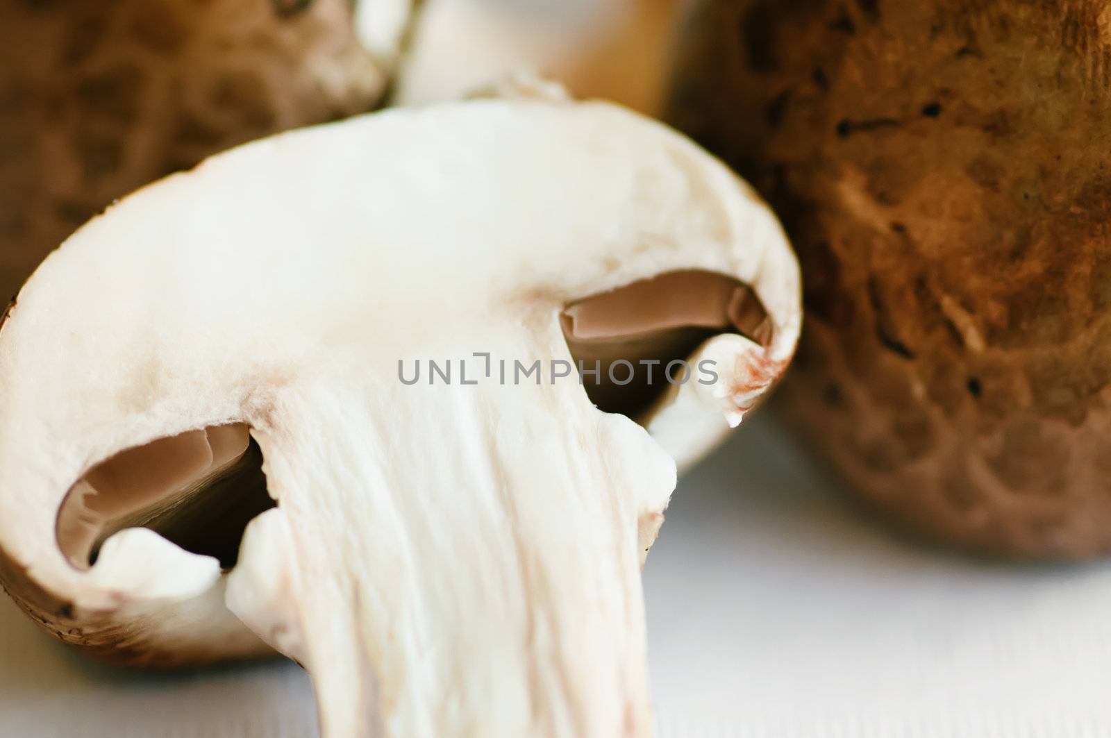 raw mushrooms (champignons) on a white table