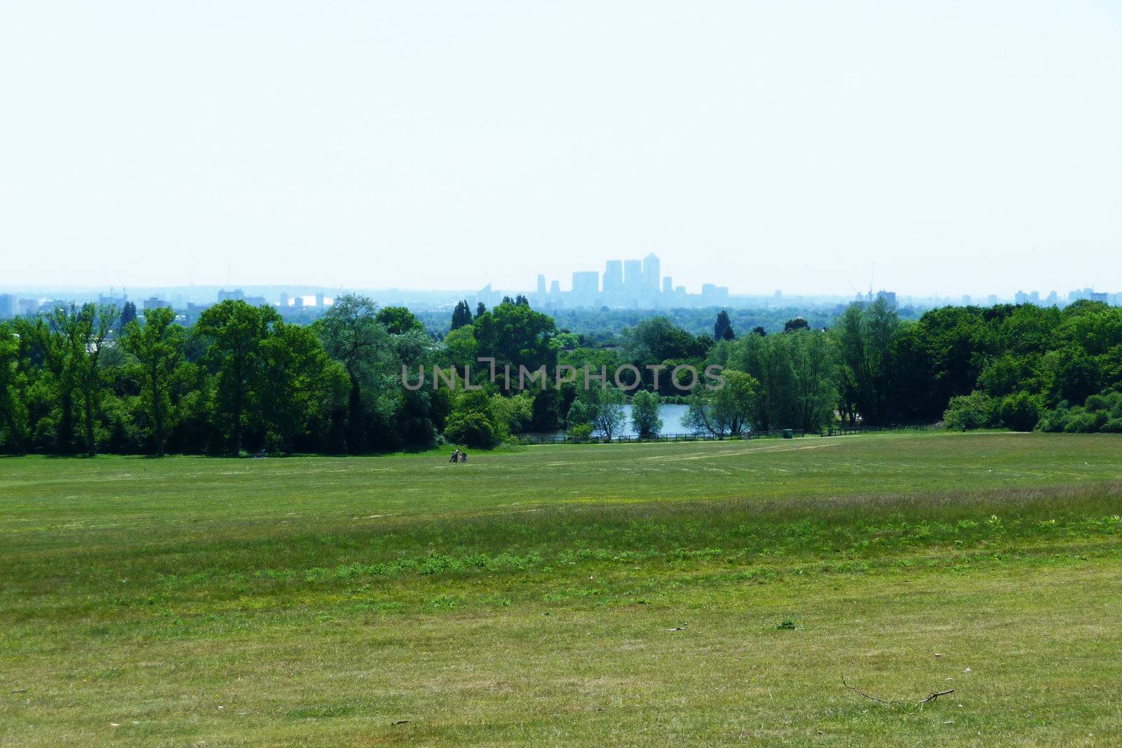 The skyline of Canary Wharf as seen from Hainault Forest