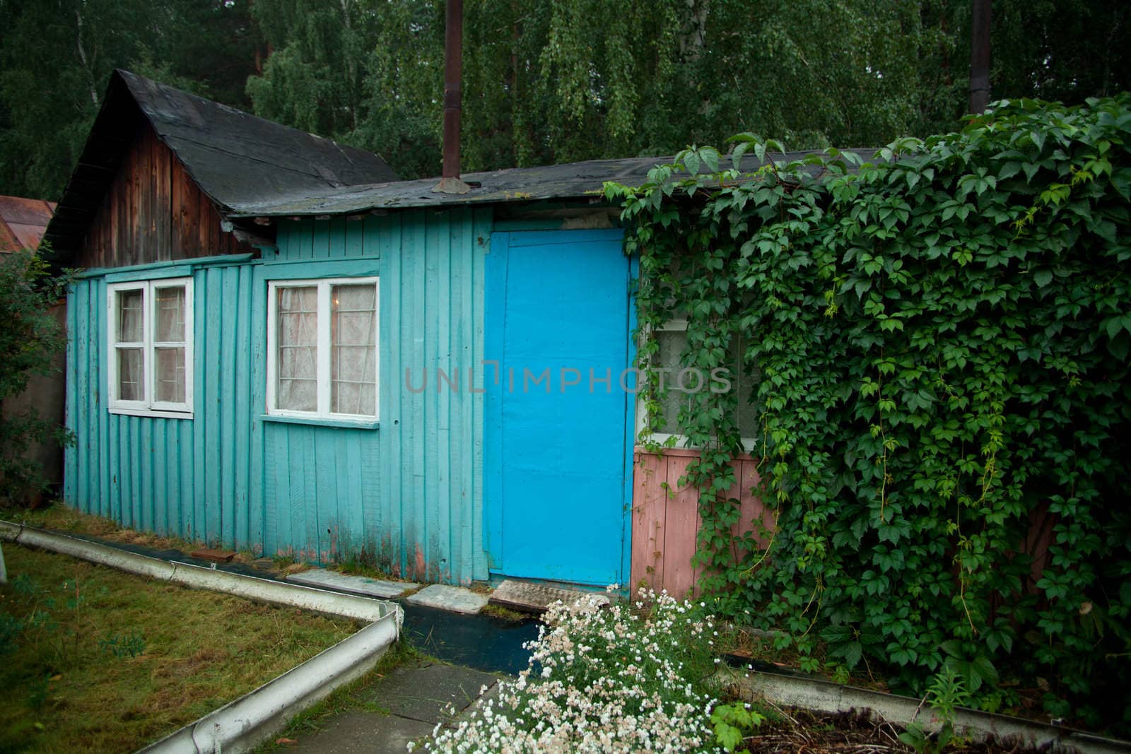 Little old wooden house. Picture for property insurance, construction, wood protection