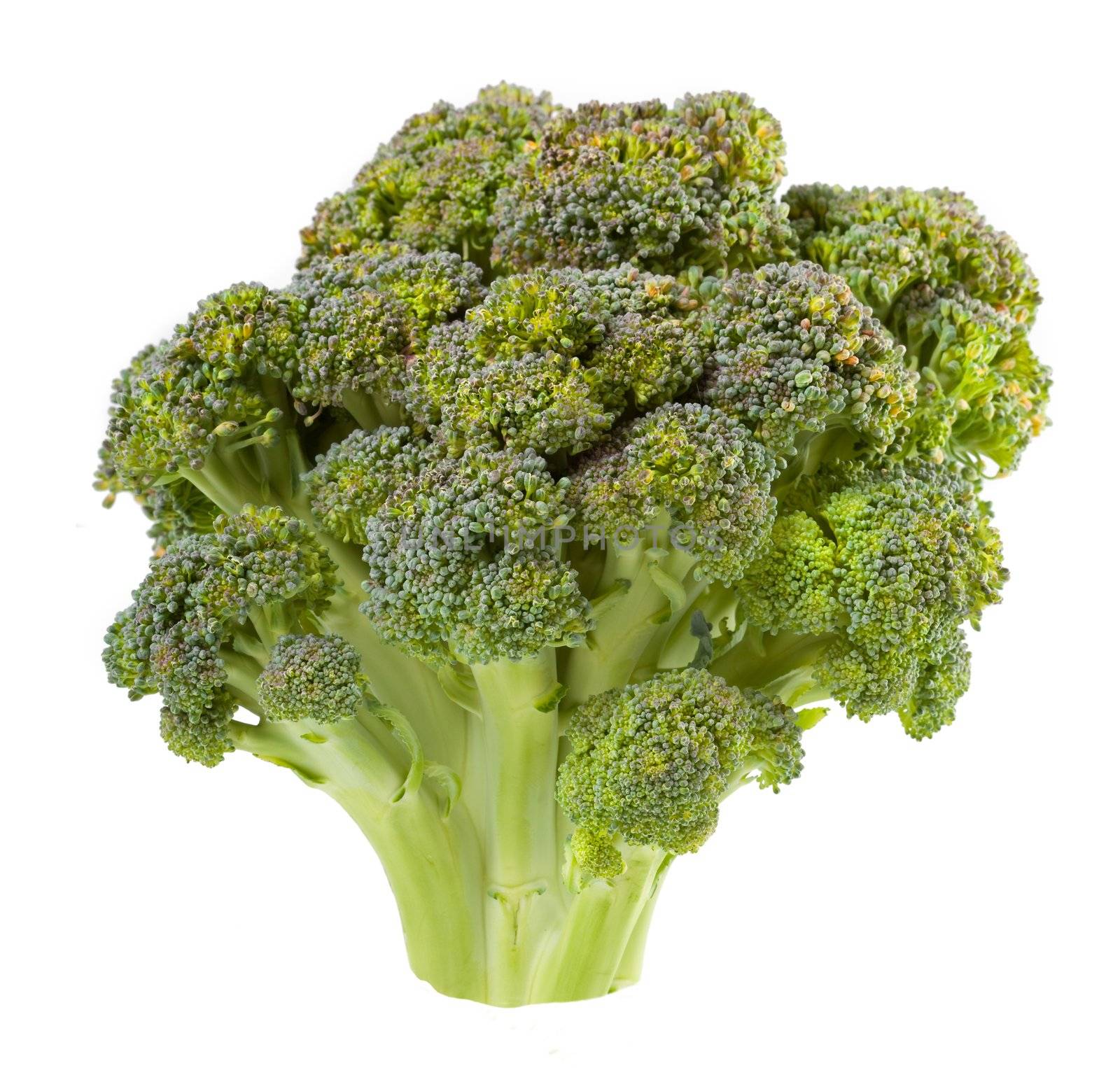 Broccoli isolation on a white background. Healthy food as it is