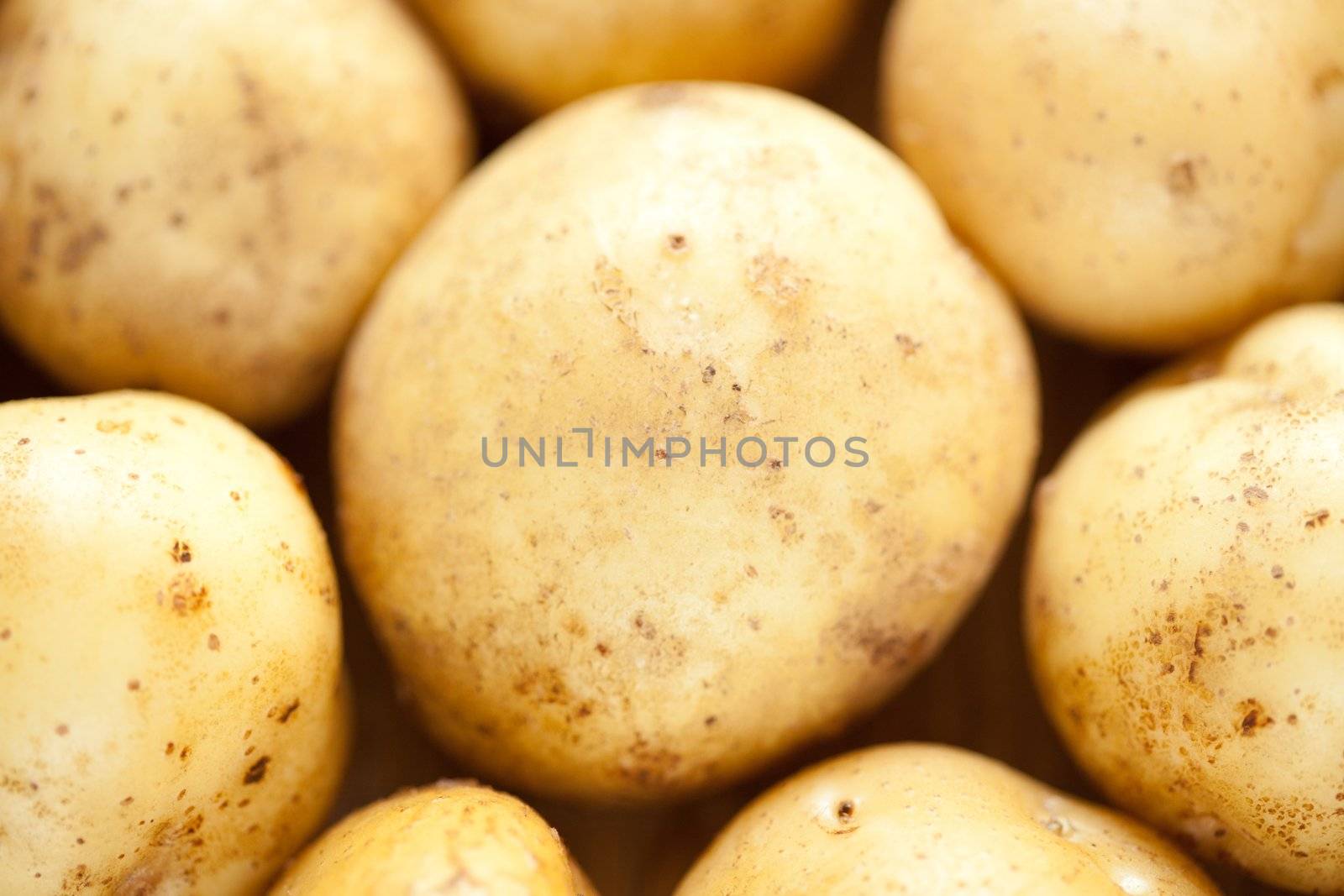 Washed potatoes are close. Picture for vegetables, food ingredients, vegetable growing