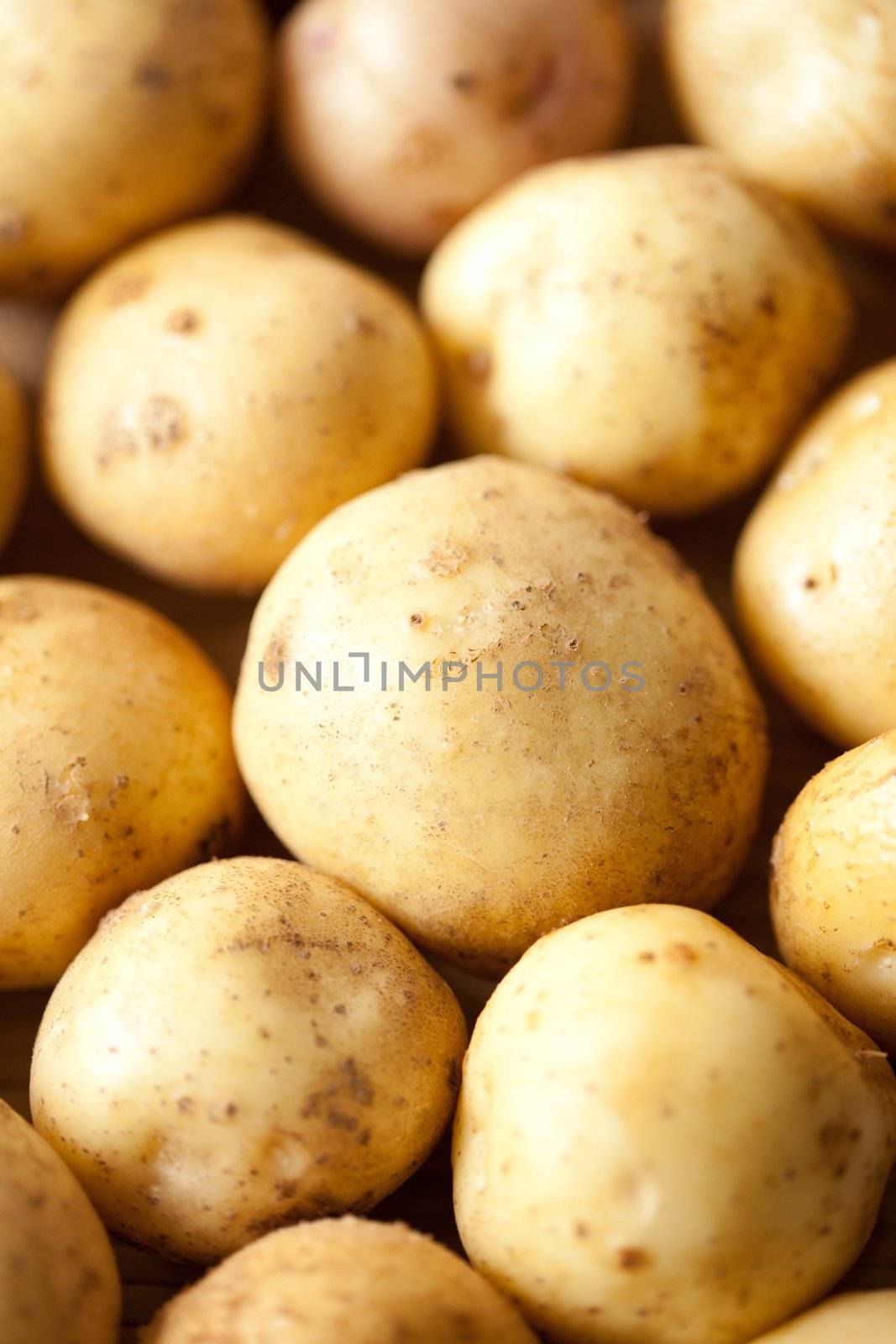 Washed potatoes are close. Picture for vegetables, food ingredients, vegetable growing