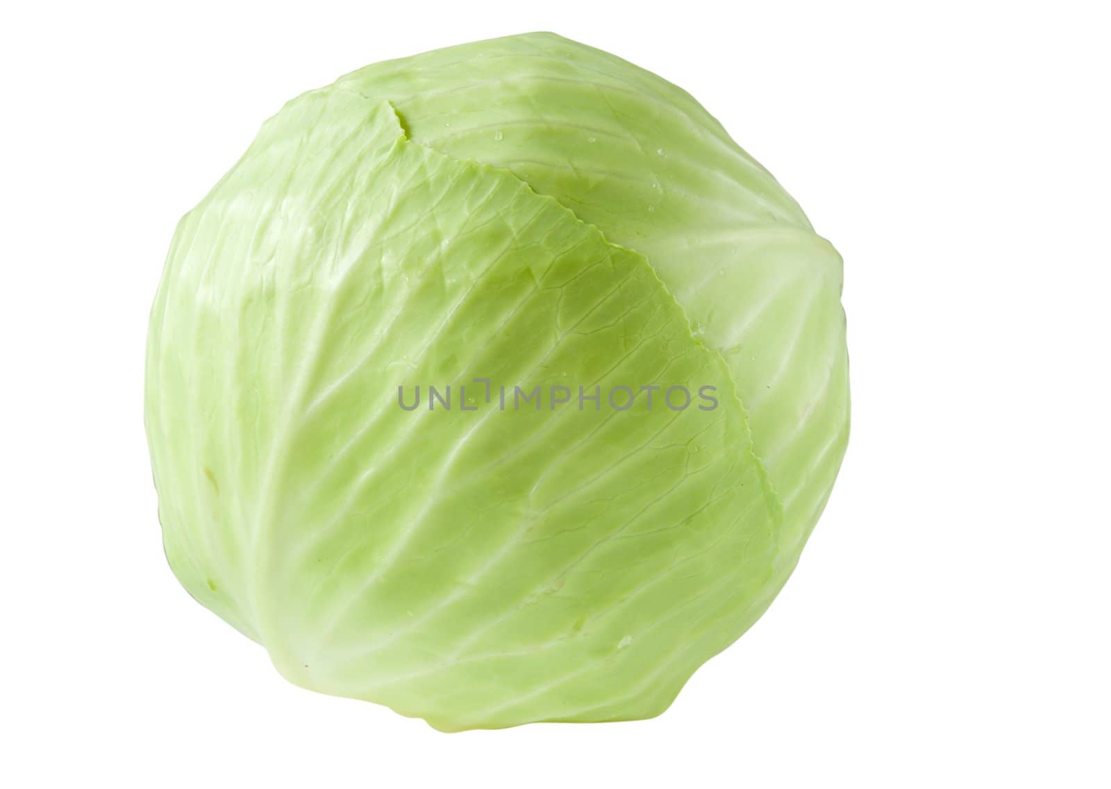 Head of cabbage is isolated on a white background. Picture a healthy diet