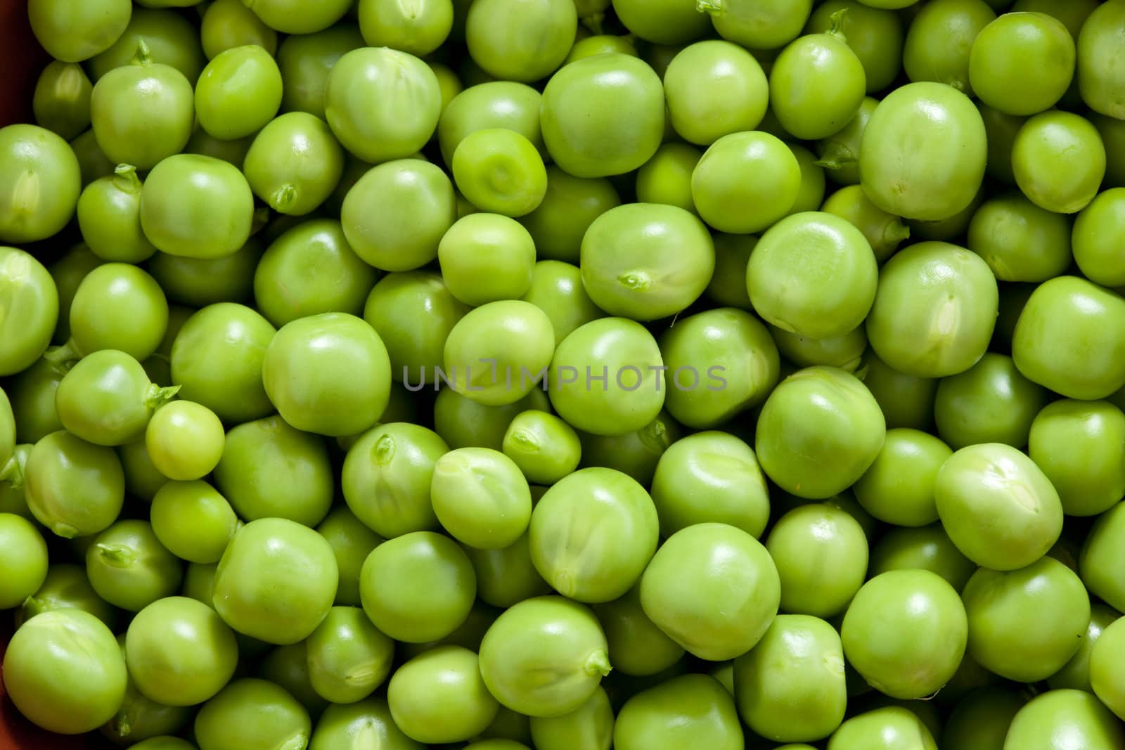 Shelling peas close up. Picture food ingredients