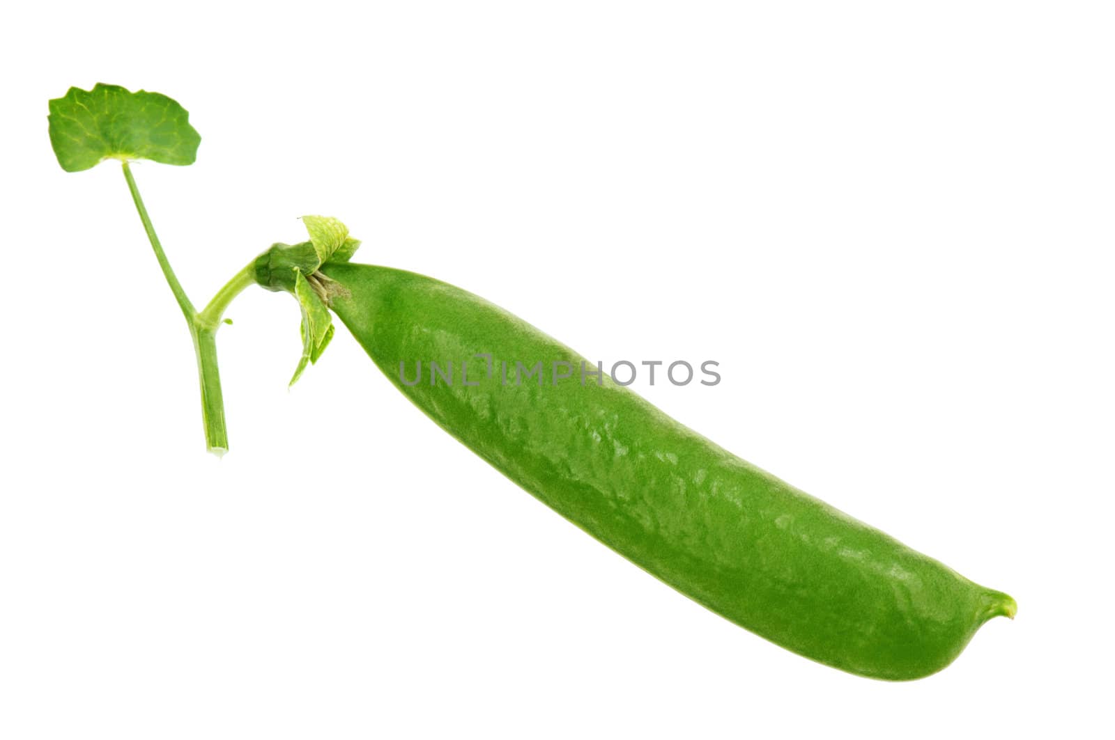 Pea pod by fotostok_pdv