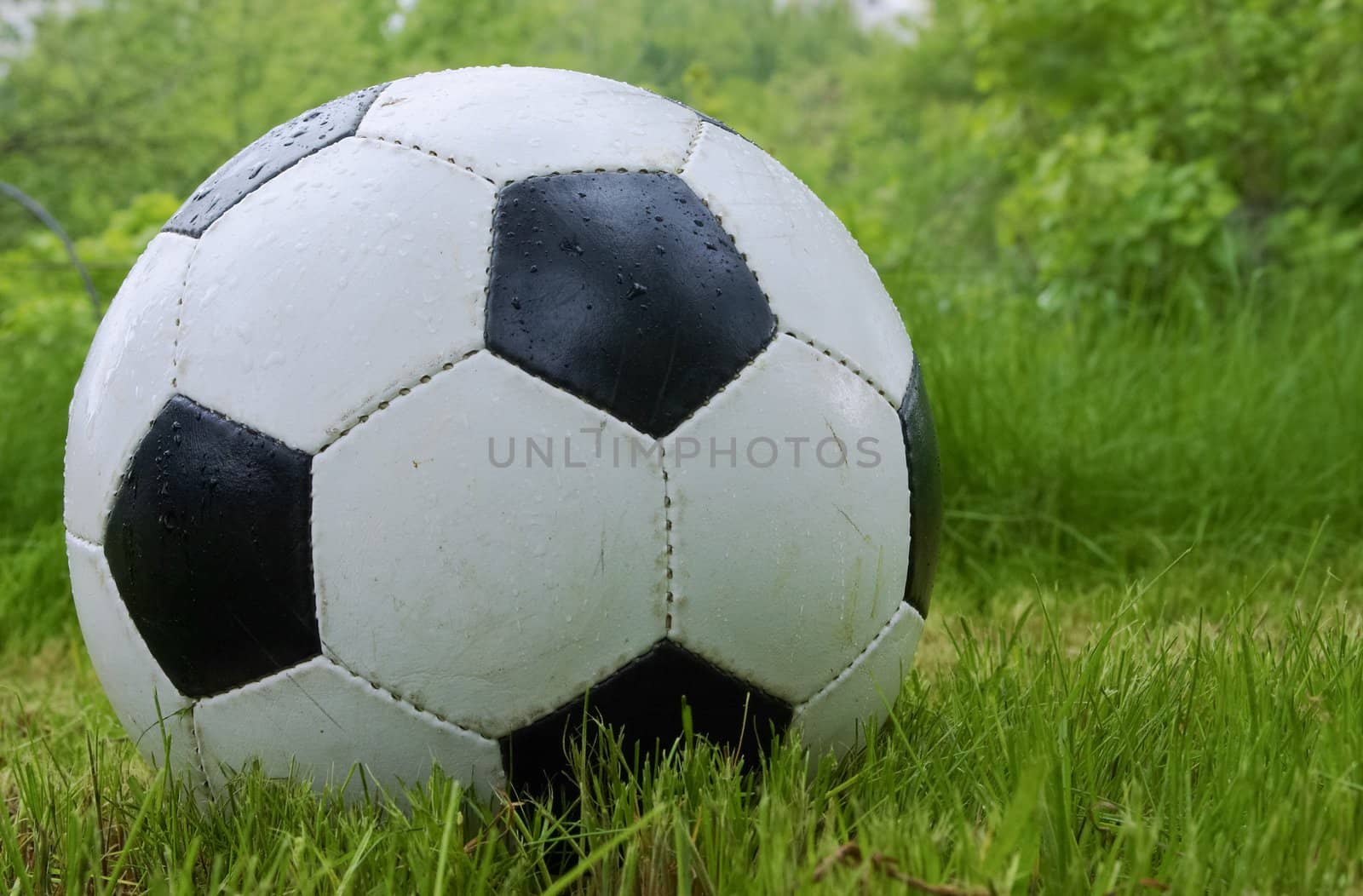 Soccer ball on grass clouse up. Natural shooting