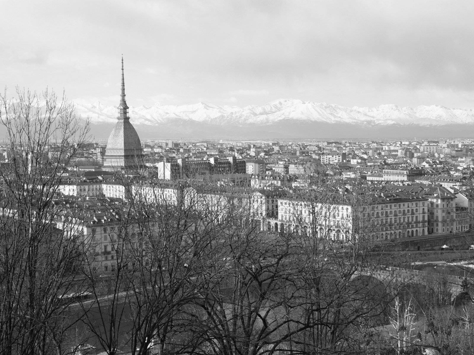 Turin panorama seen from the hill, with Mole Antonelliana (famous ugly wedding cake architecture)