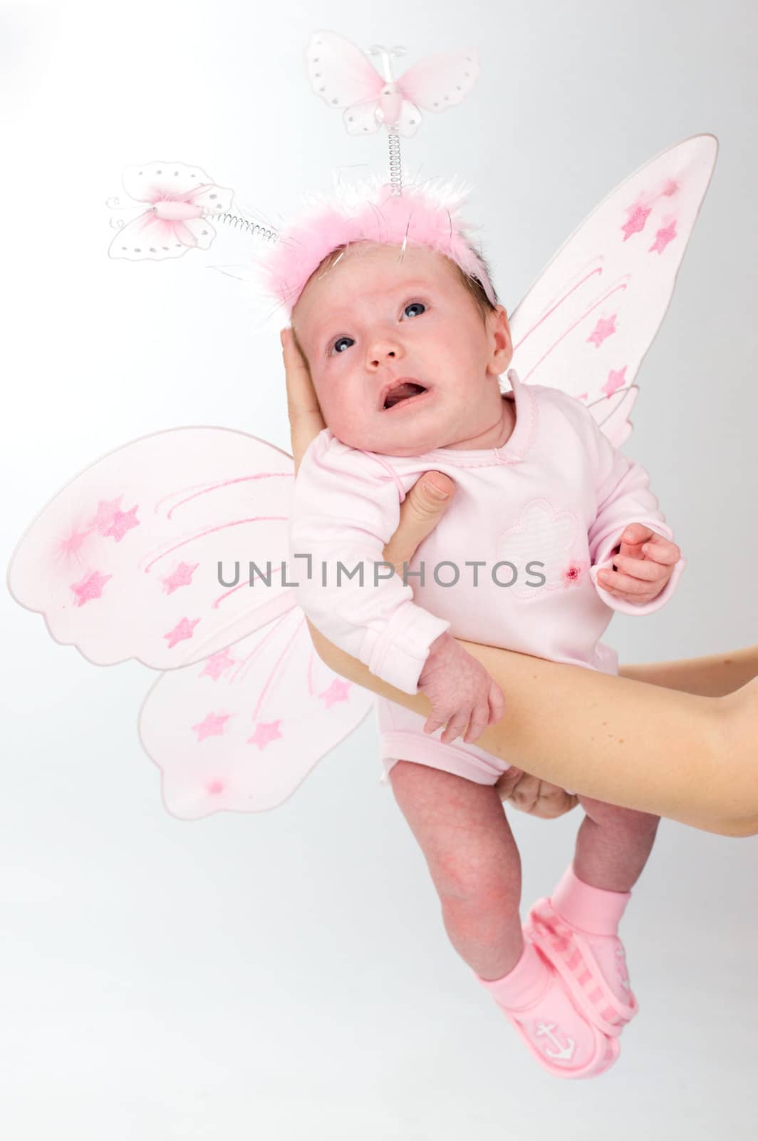 Baby butterfly by olga_sweet