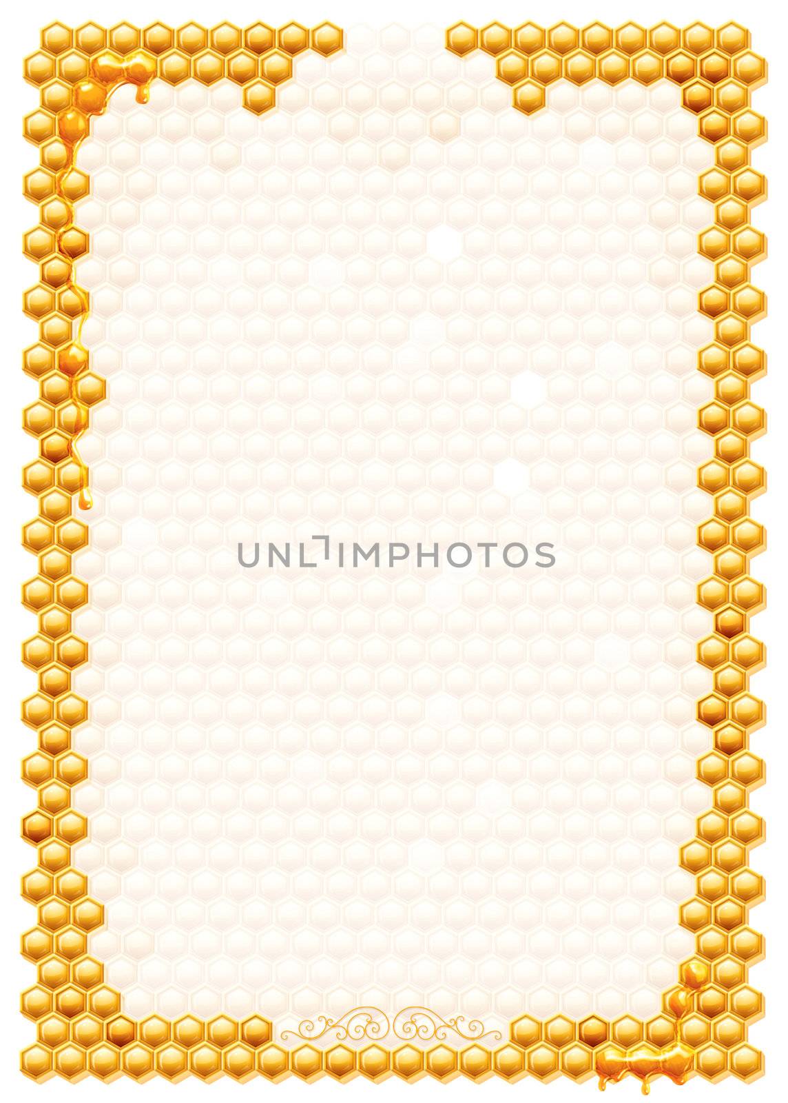 Frame with bee honeycombs isolated on a white background