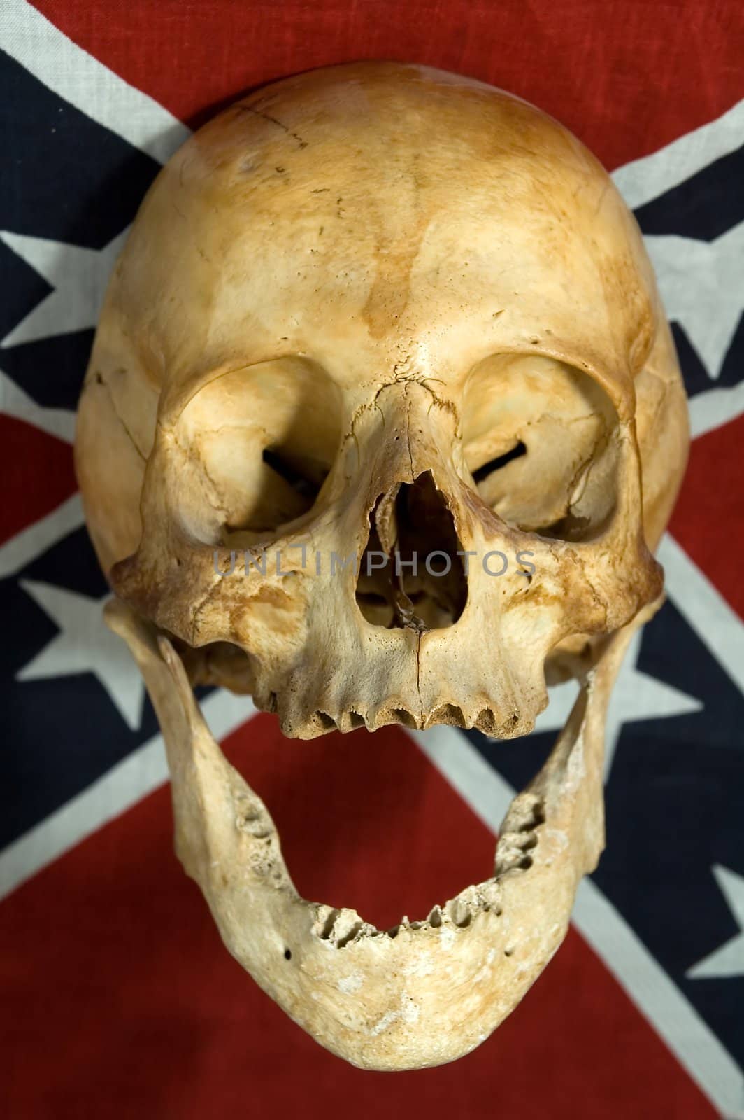 real skull smiling on Confederate, Rebel, or Dixie Flag