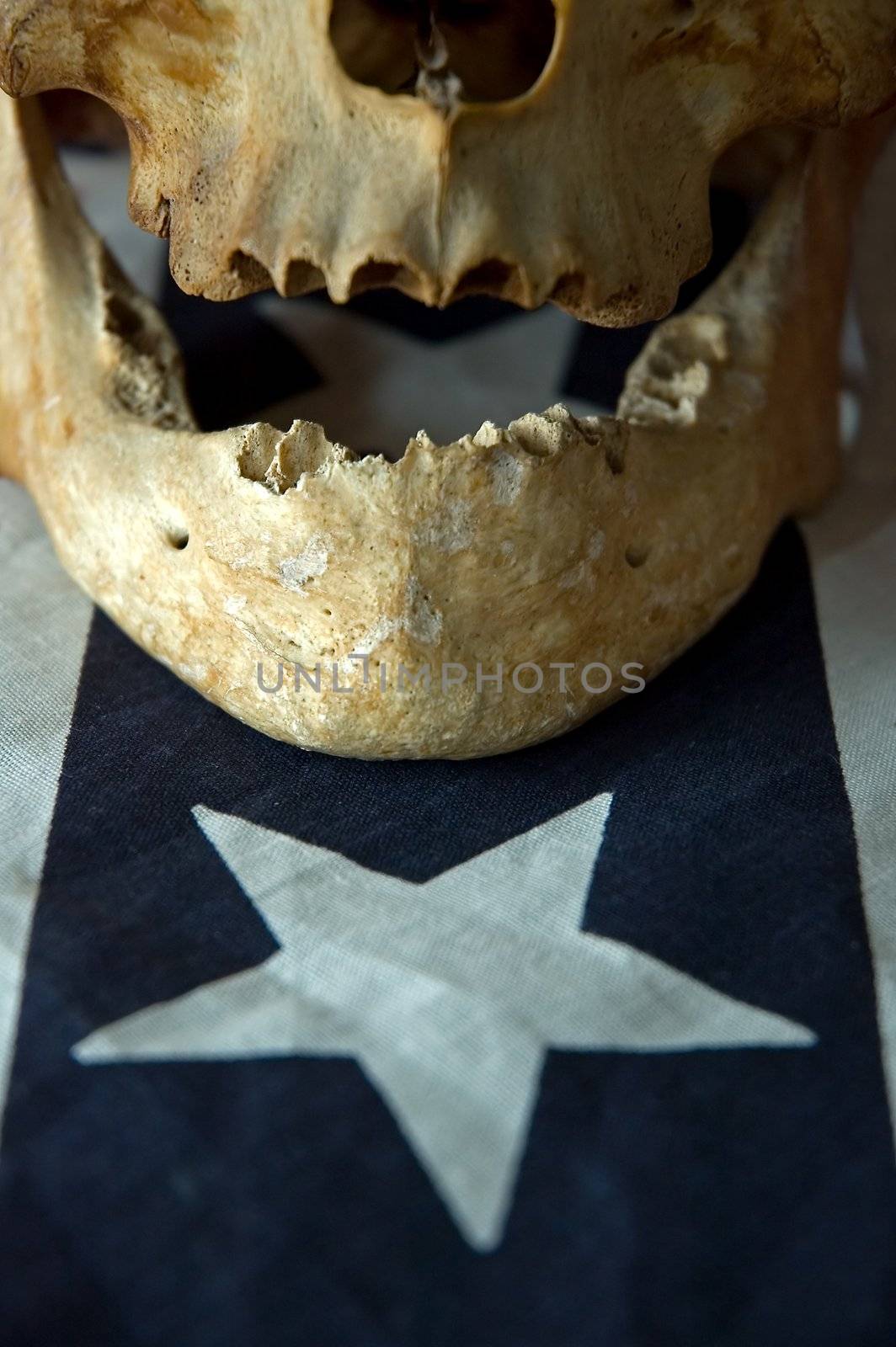 real skull detail on a flag part, one white star