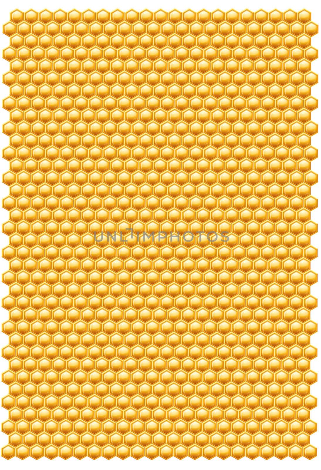 Bee honeycombs pattern isolated on a white background