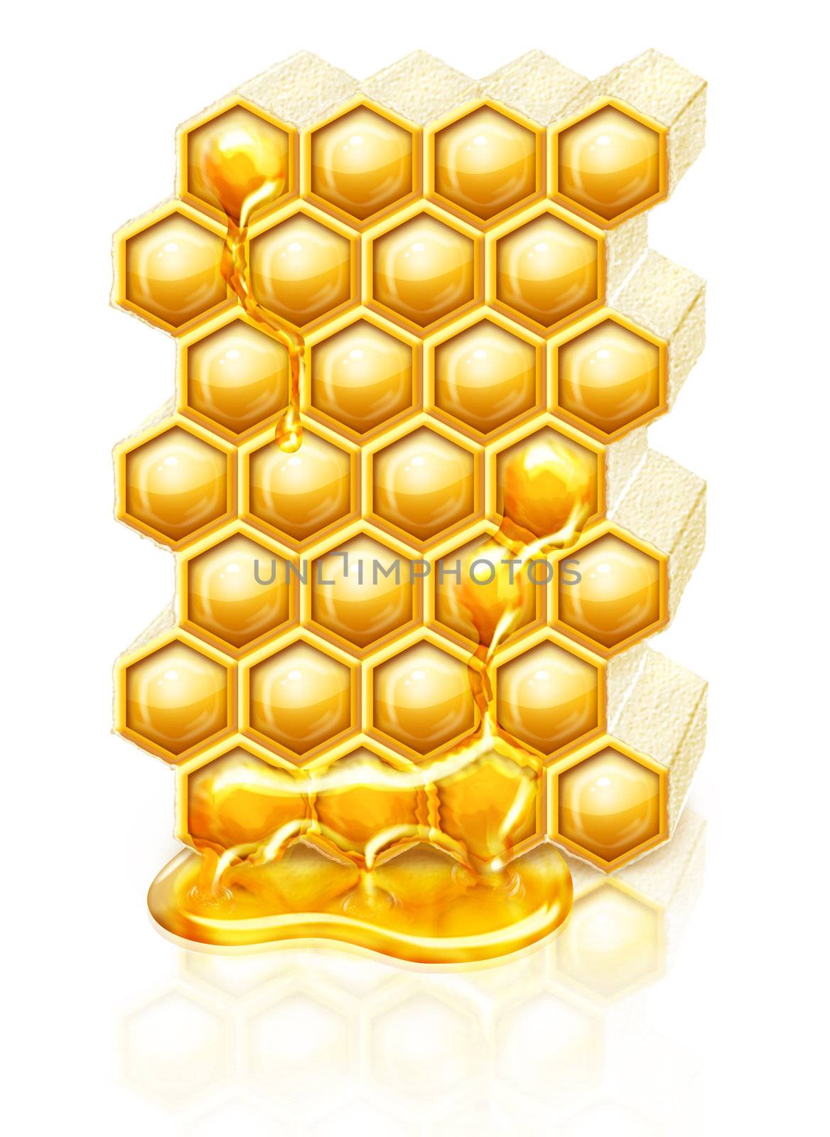 Bee honeycombs with honey flowing down