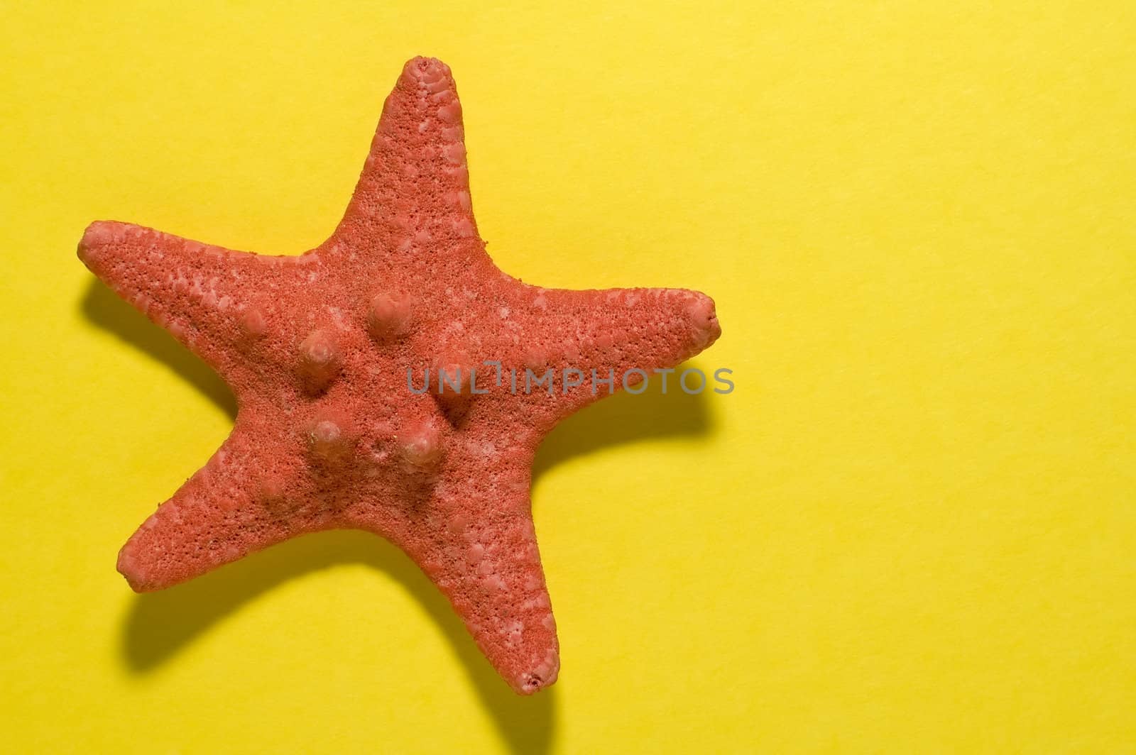 five-finger star by rorem