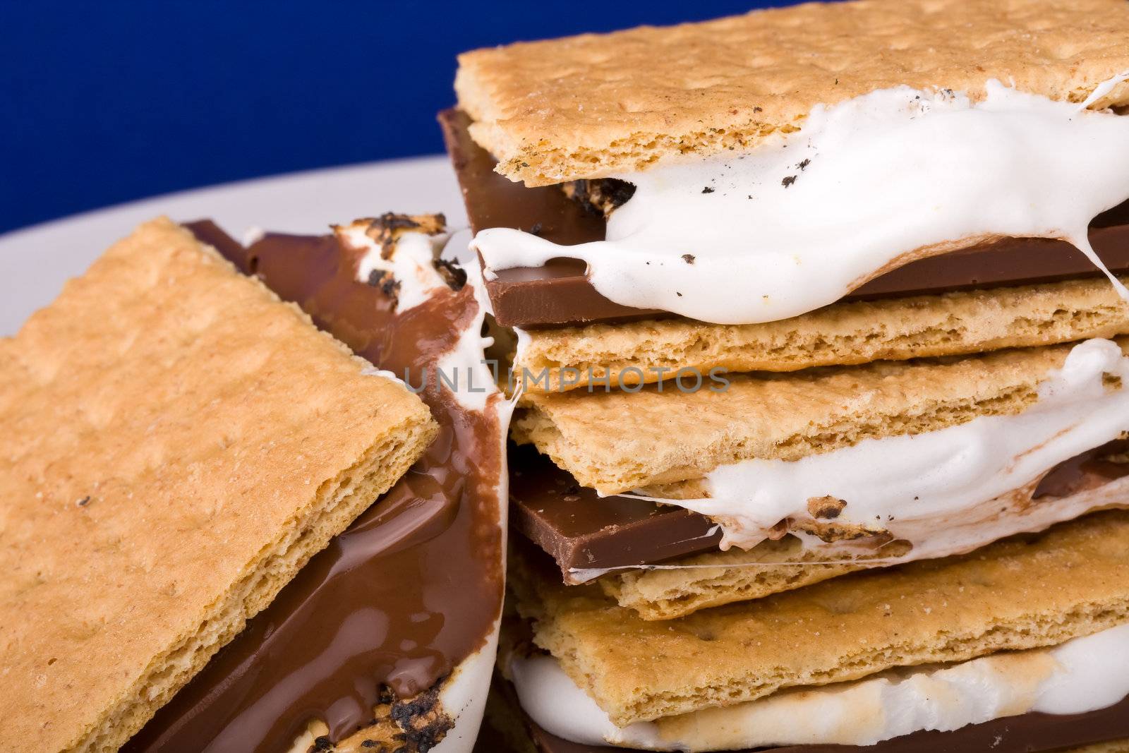 warm freshly home made smores on a white plate