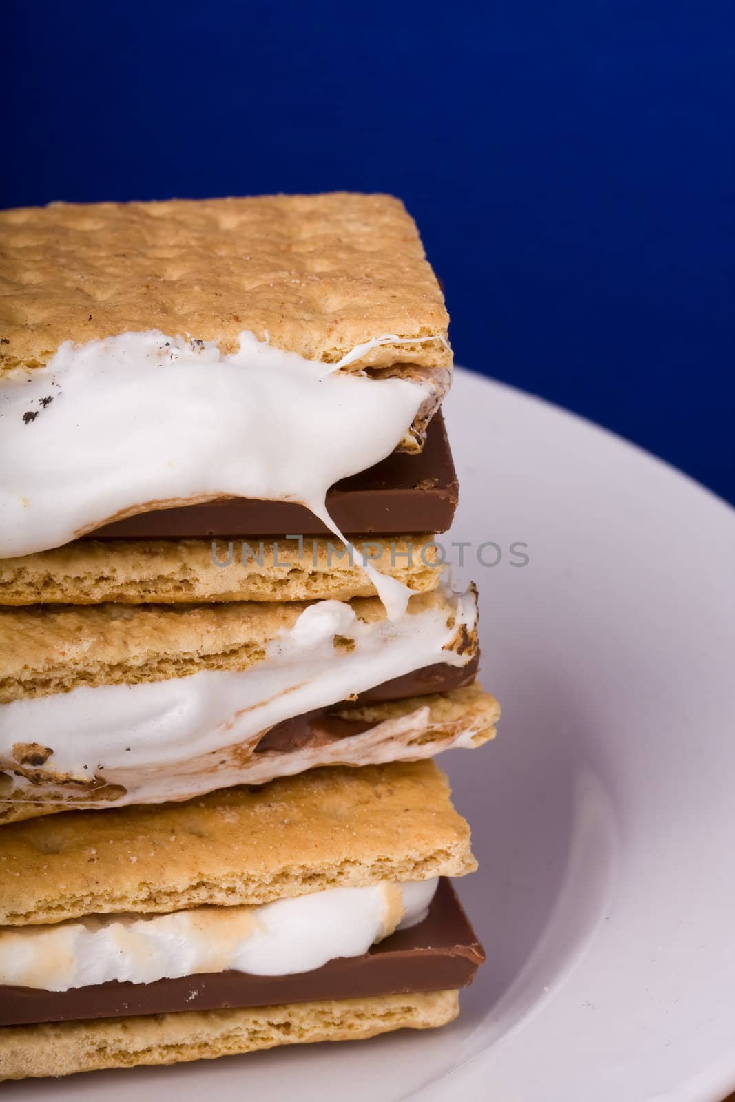 warm freshly home made smores on a white plate