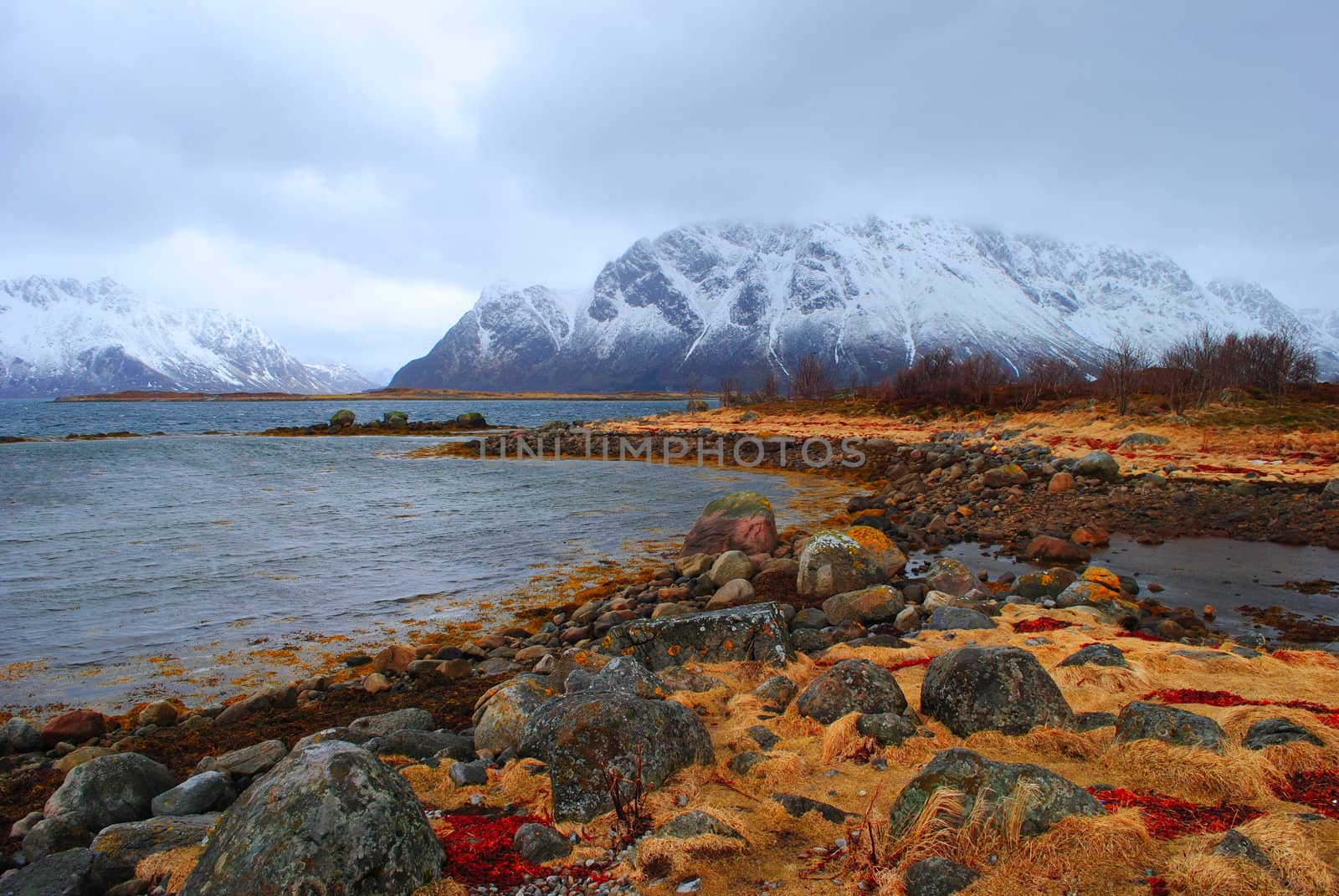 Landscape from Lofoten, Norway.