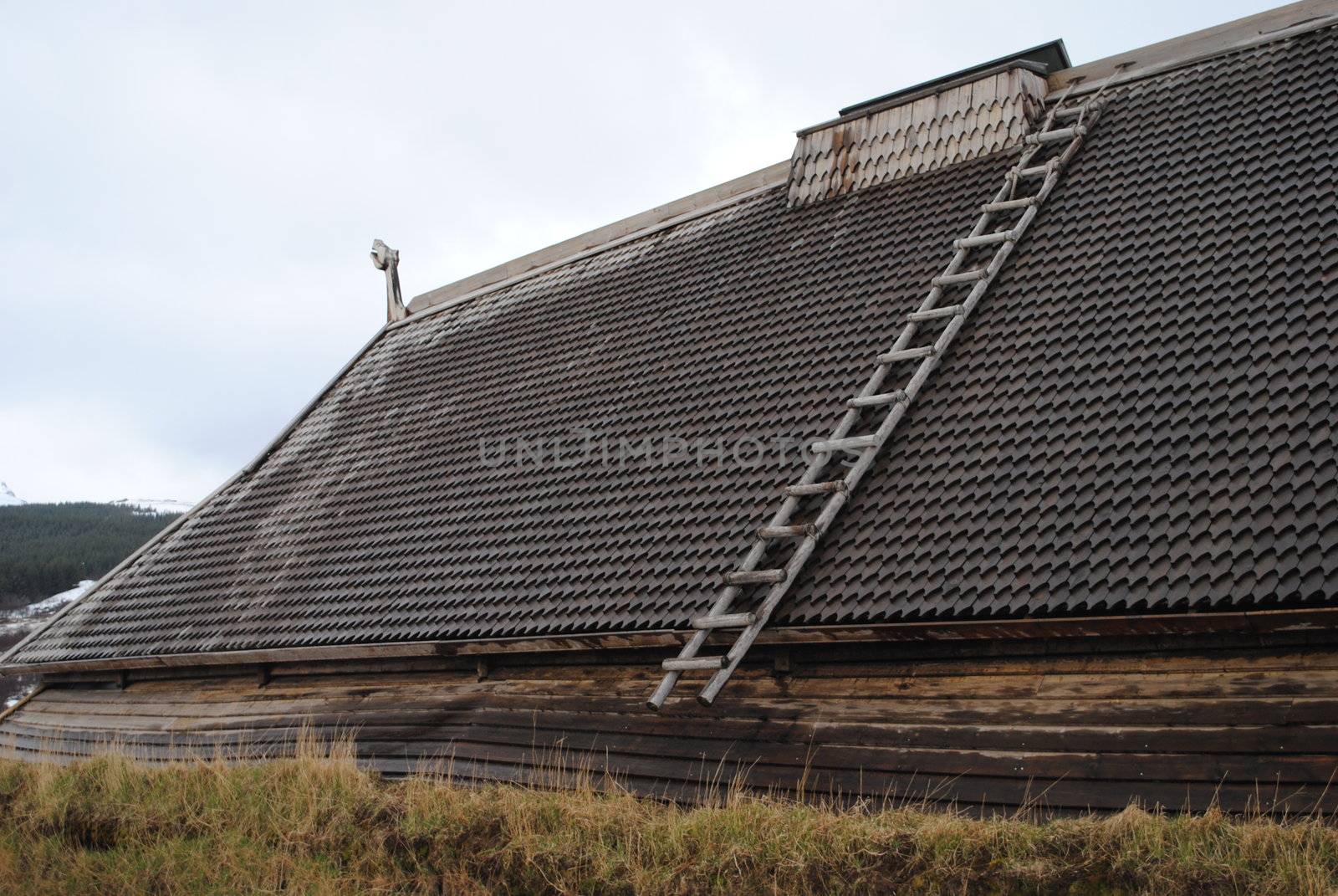 The Lofotr Viking Museum (Lofotr Vikingmuseum) is a historical museum based on a reconstruction and archaeological excavation of a Viking chieftain's village in the North Norwegian archipelago of Lofoten, Norway. It is located in the hamlet of Borg, near Bøstad, Vestvågøy.