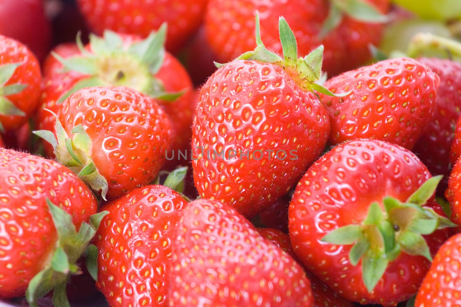 Close up of delicious red strawberries. Shallow depth of field.